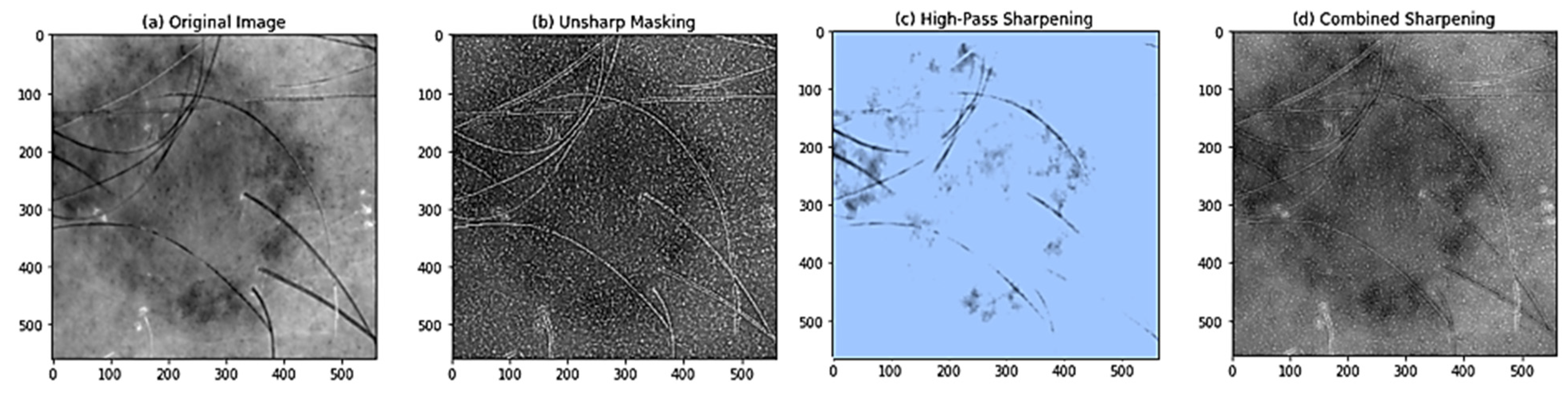 Preprints 80409 g011