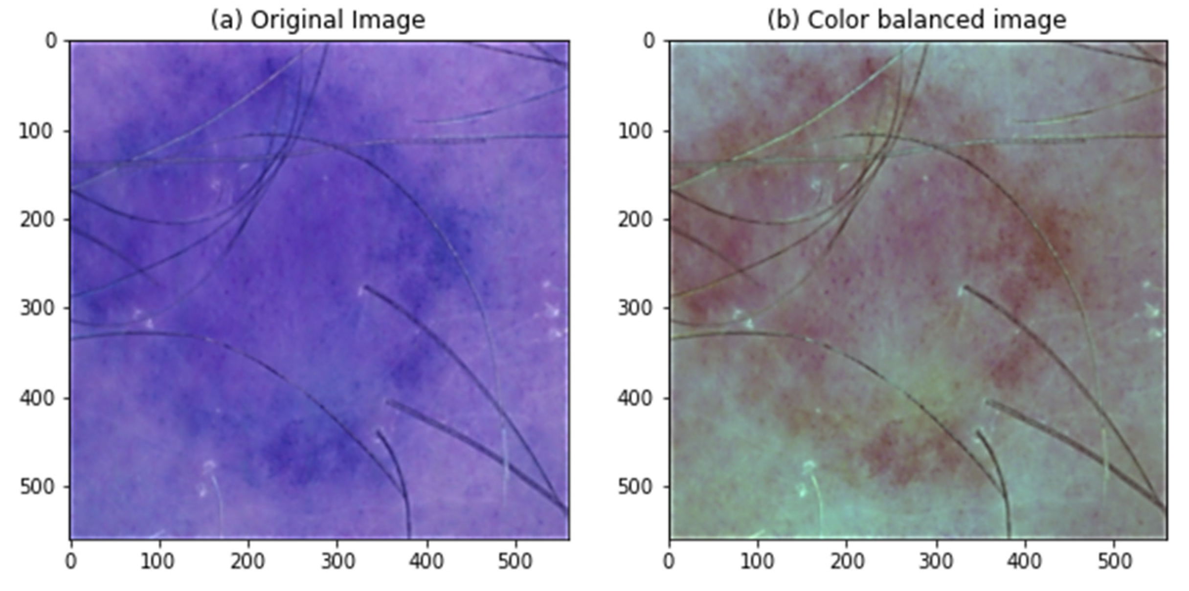 Preprints 80409 g012