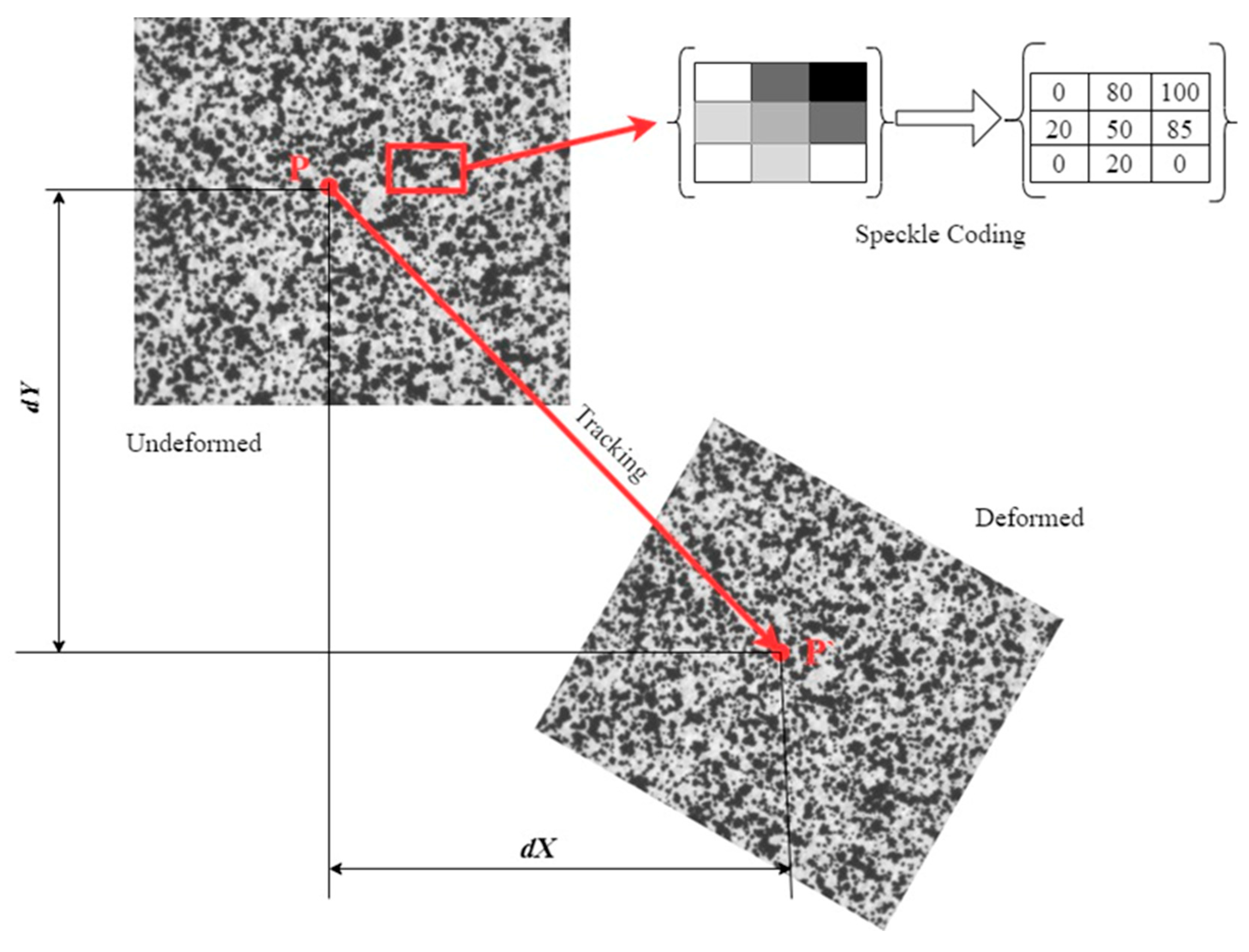 Preprints 116178 g002