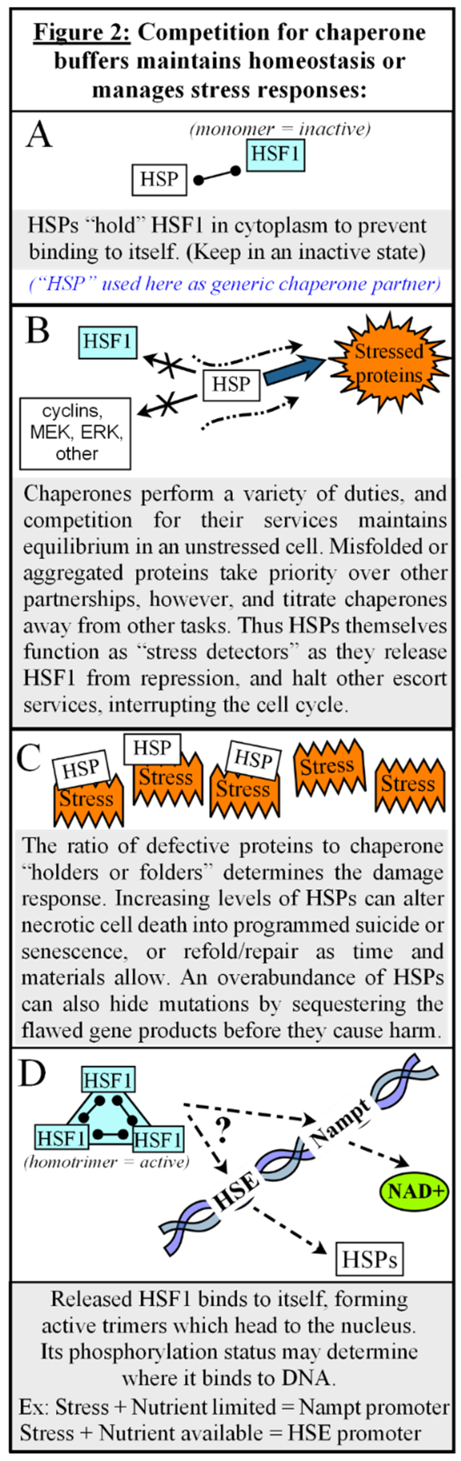 Preprints 115532 g002