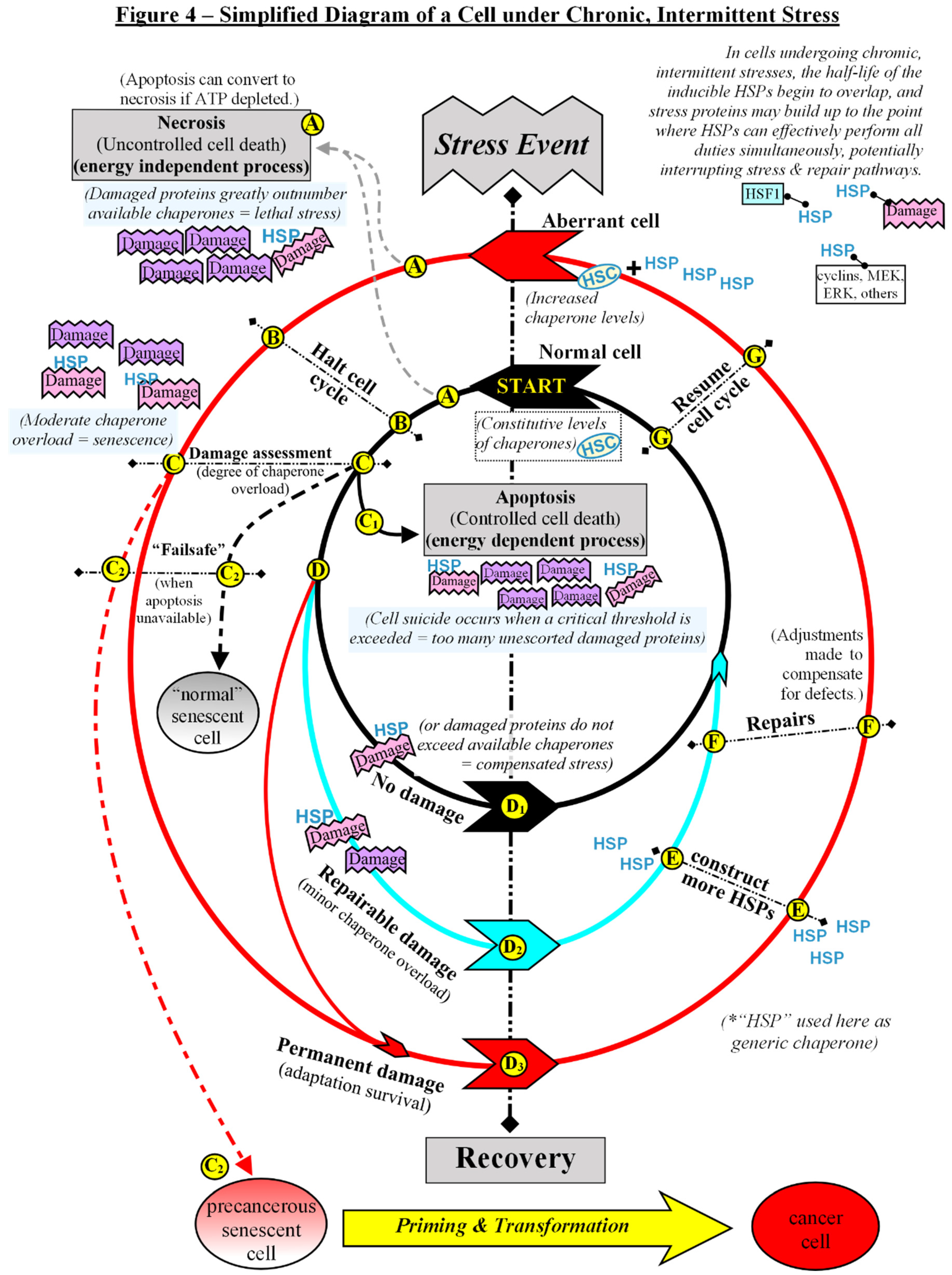 Preprints 115532 g004