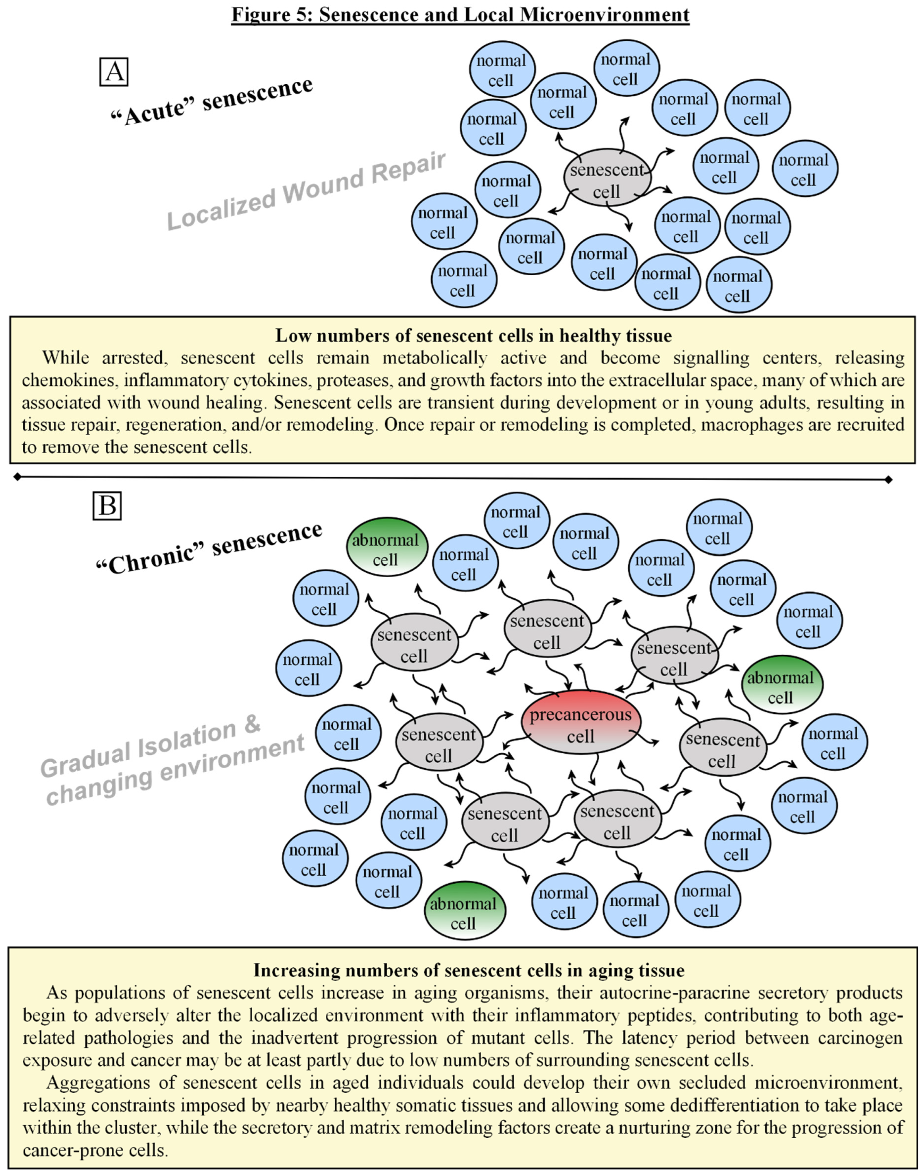 Preprints 115532 g005