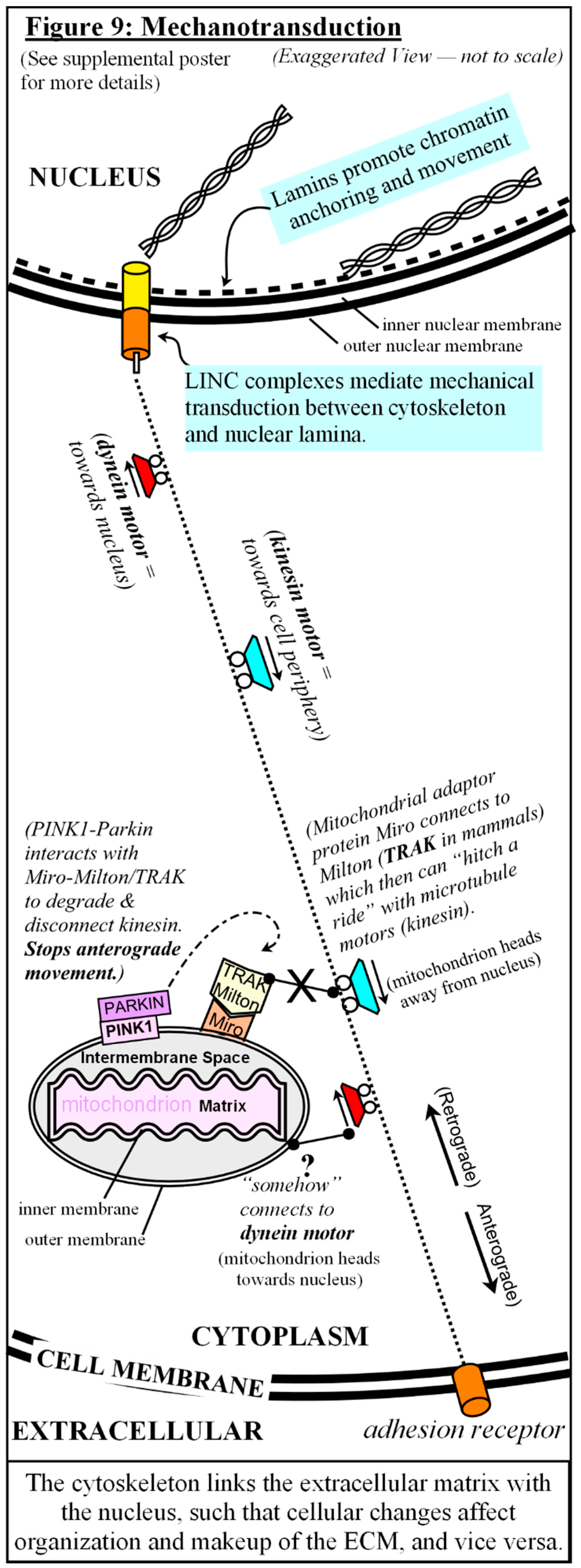 Preprints 115532 g009