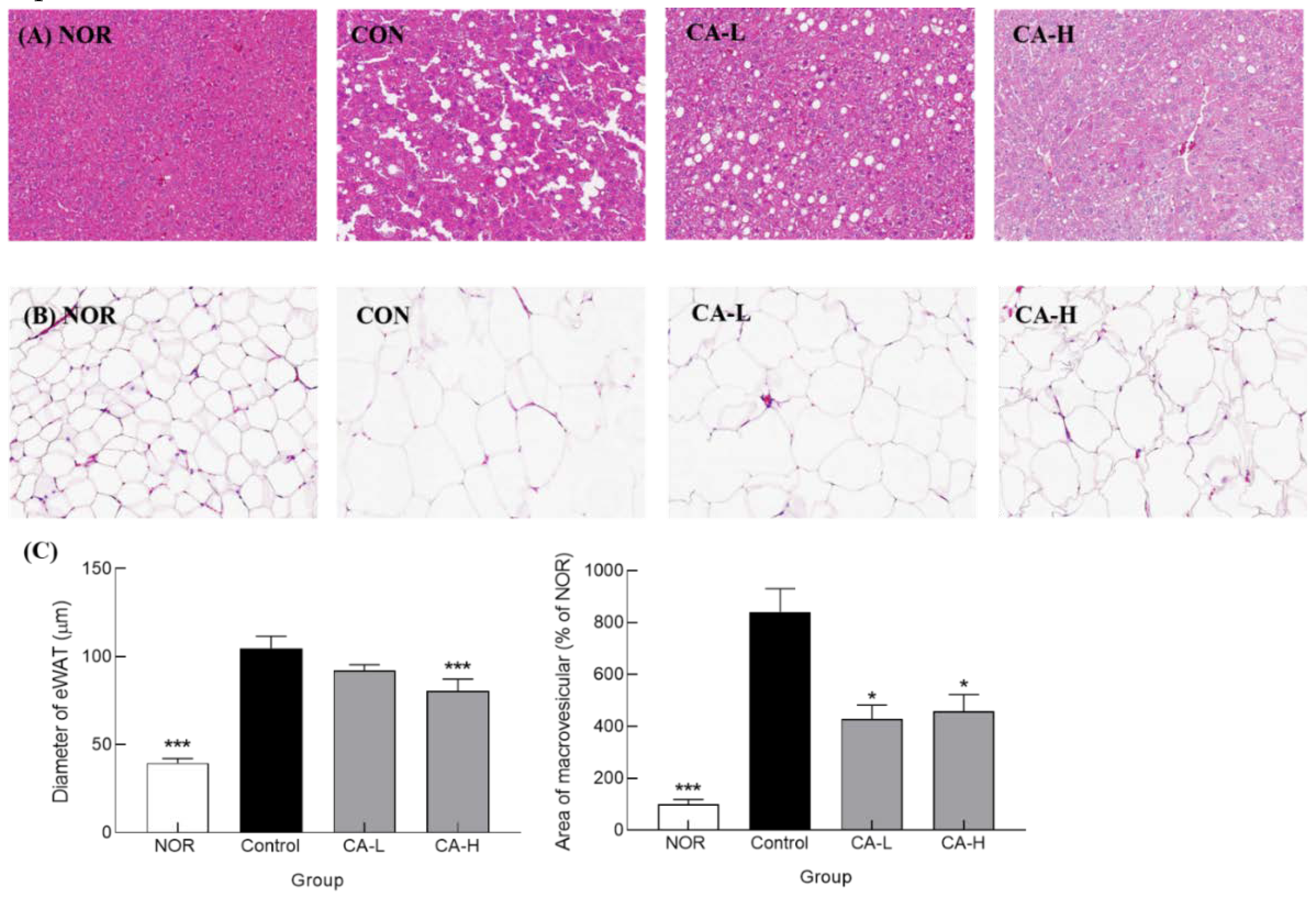 Preprints 75492 g004