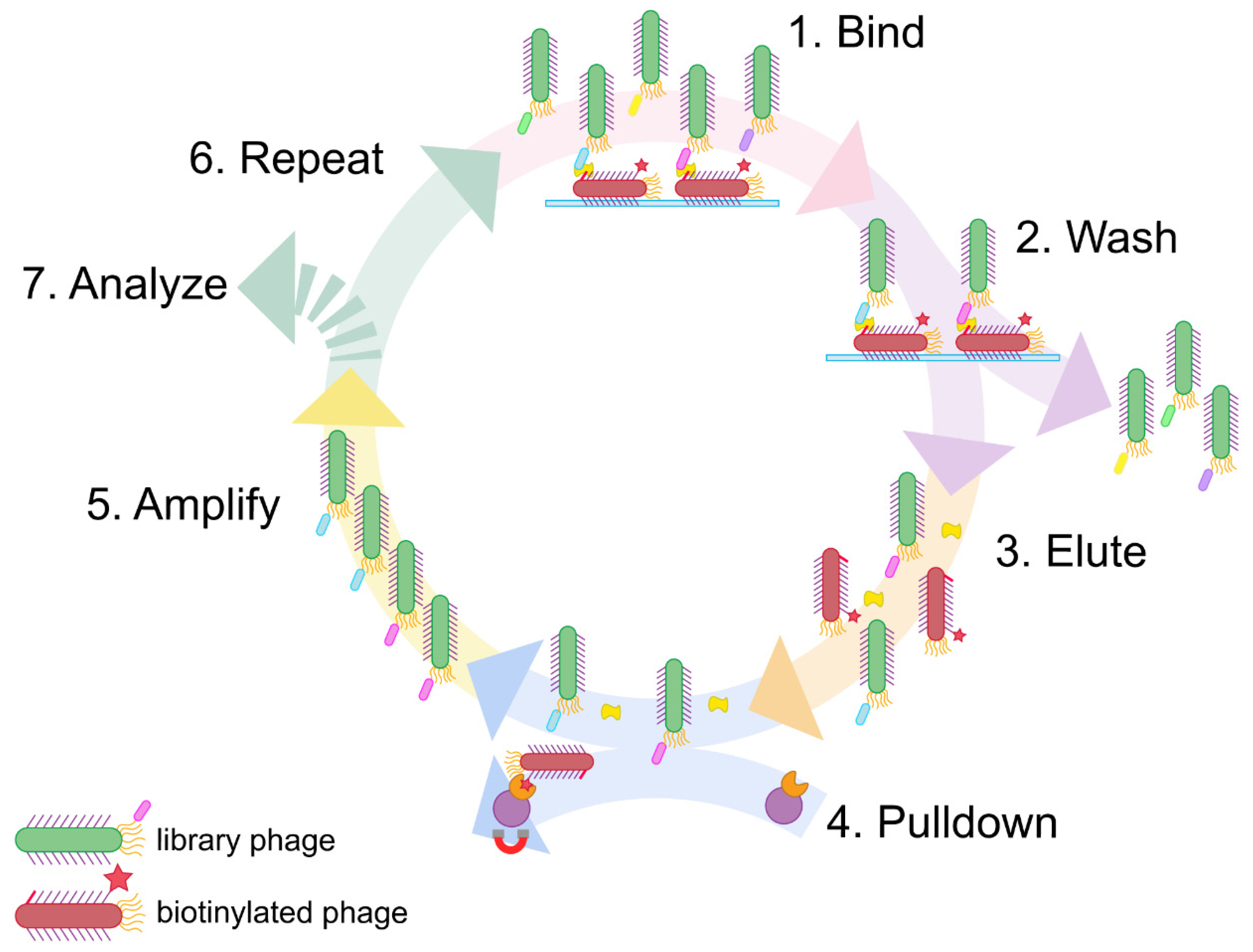 Preprints 68408 g001