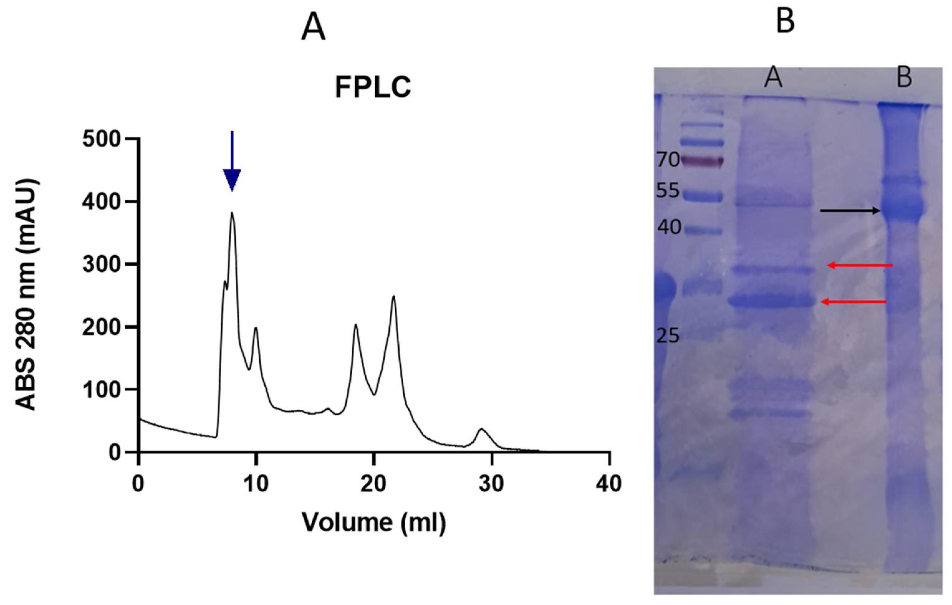 Preprints 112038 g001