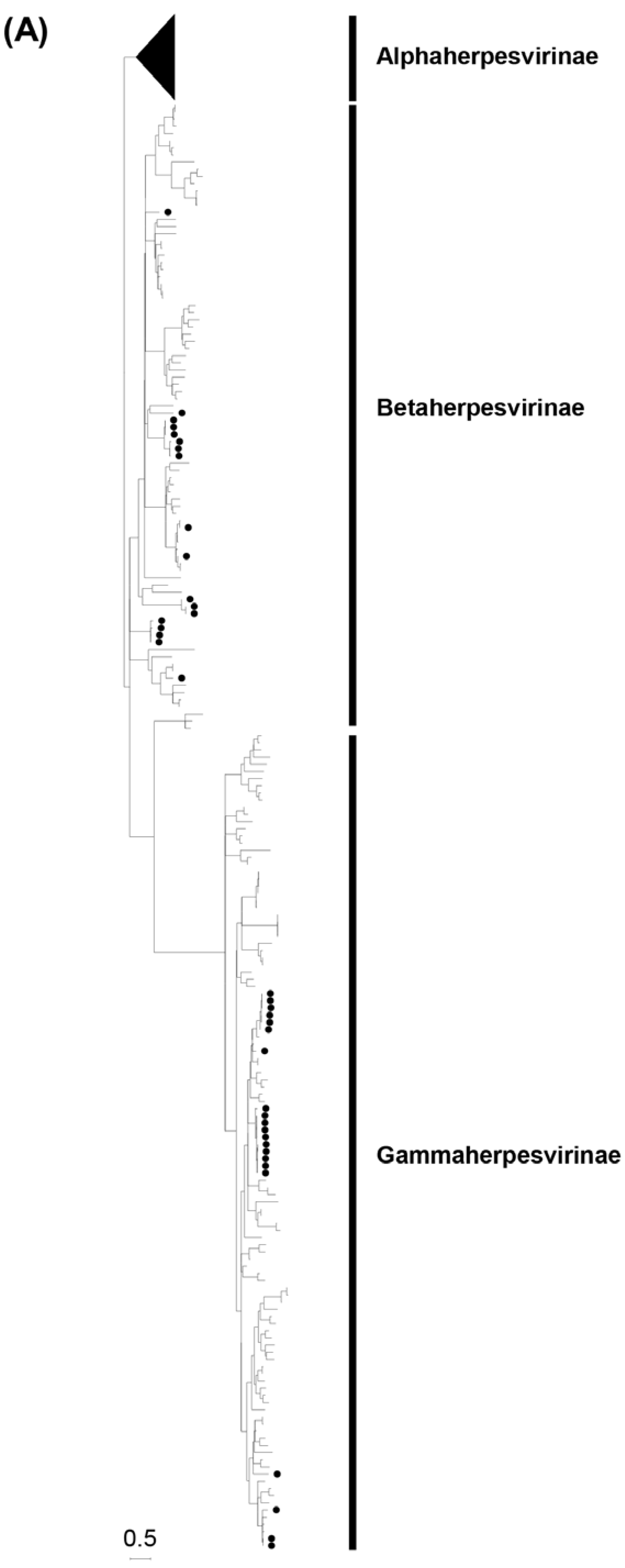 Preprints 74465 g001a