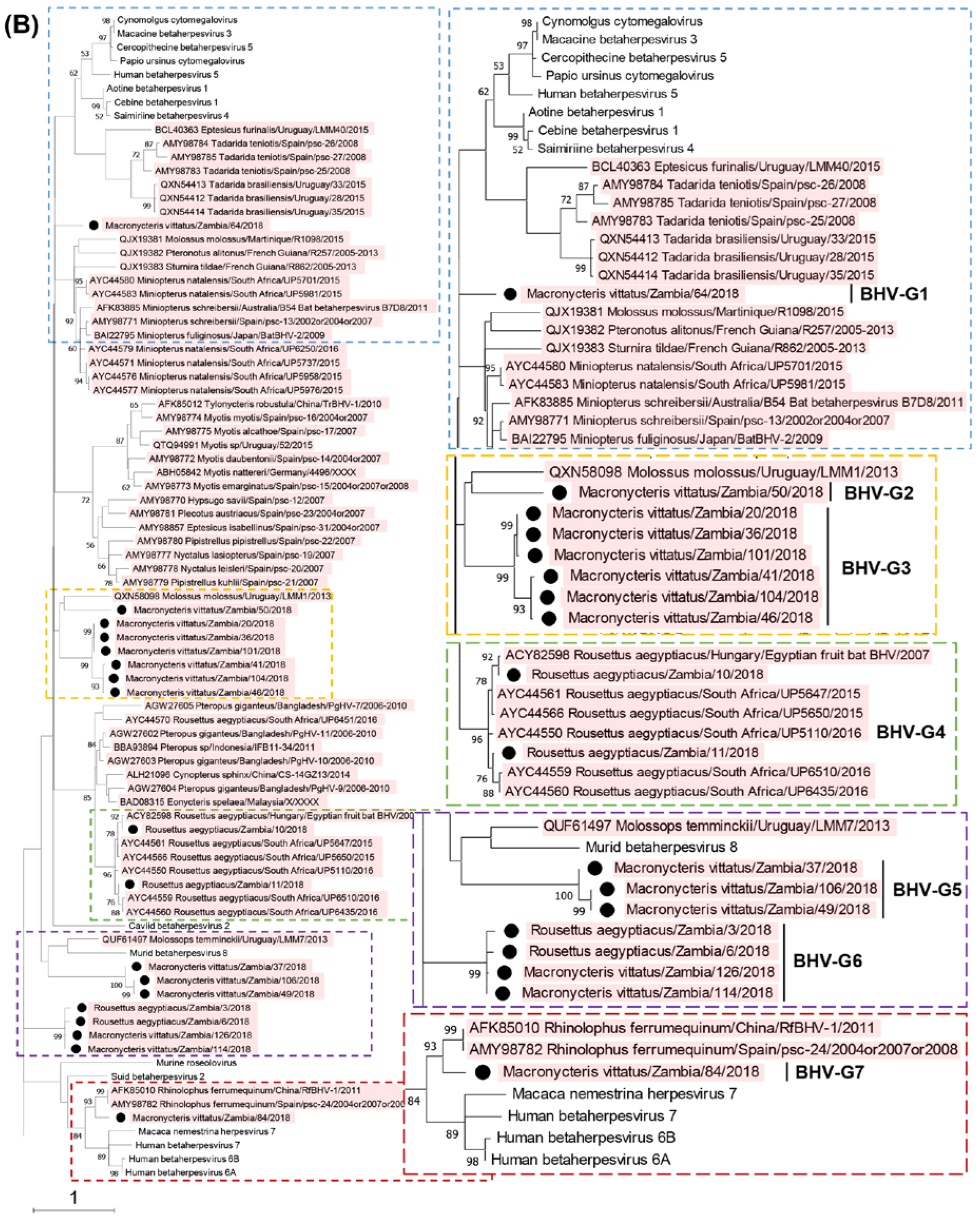 Preprints 74465 g001b