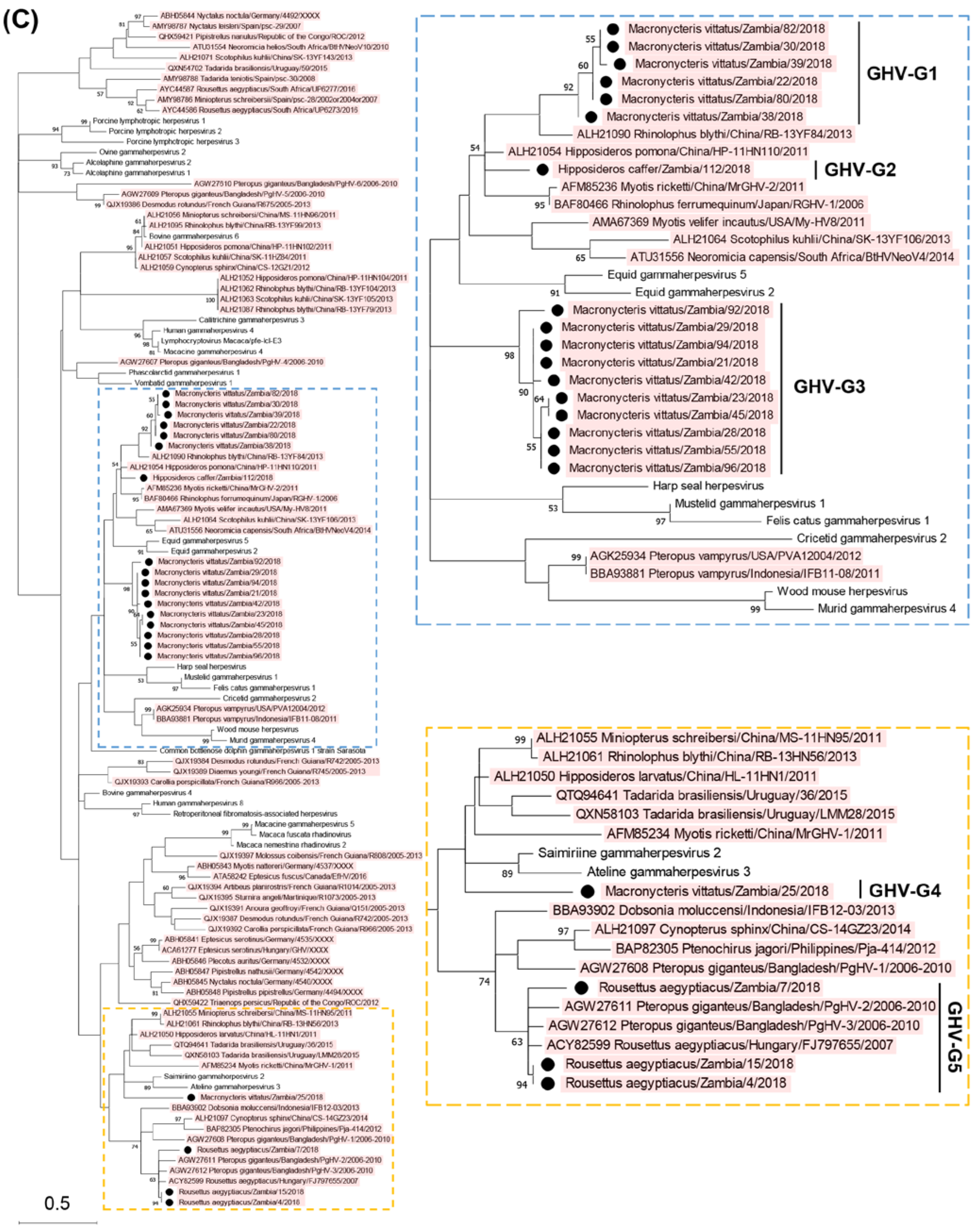 Preprints 74465 g001c