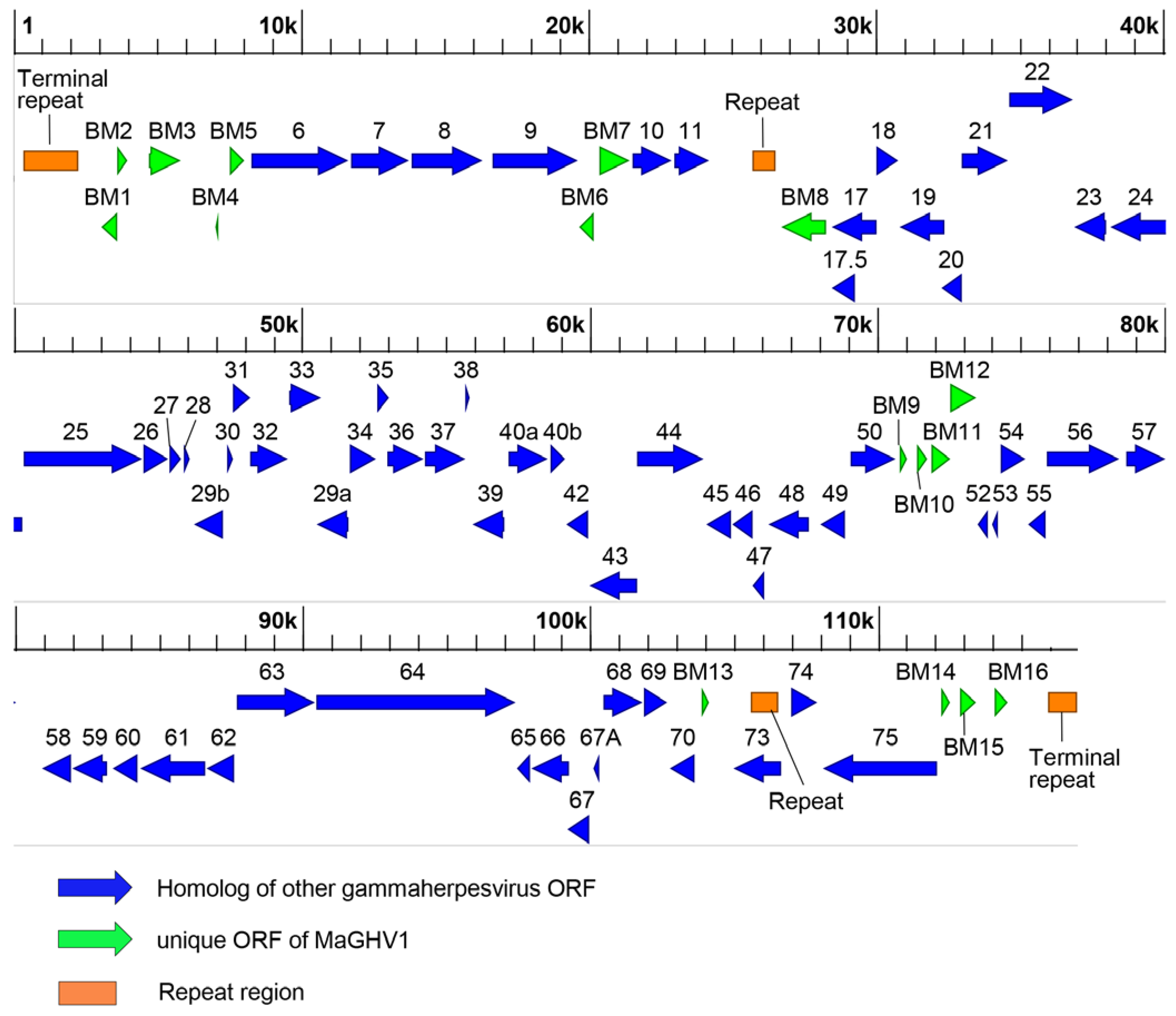 Preprints 74465 g003