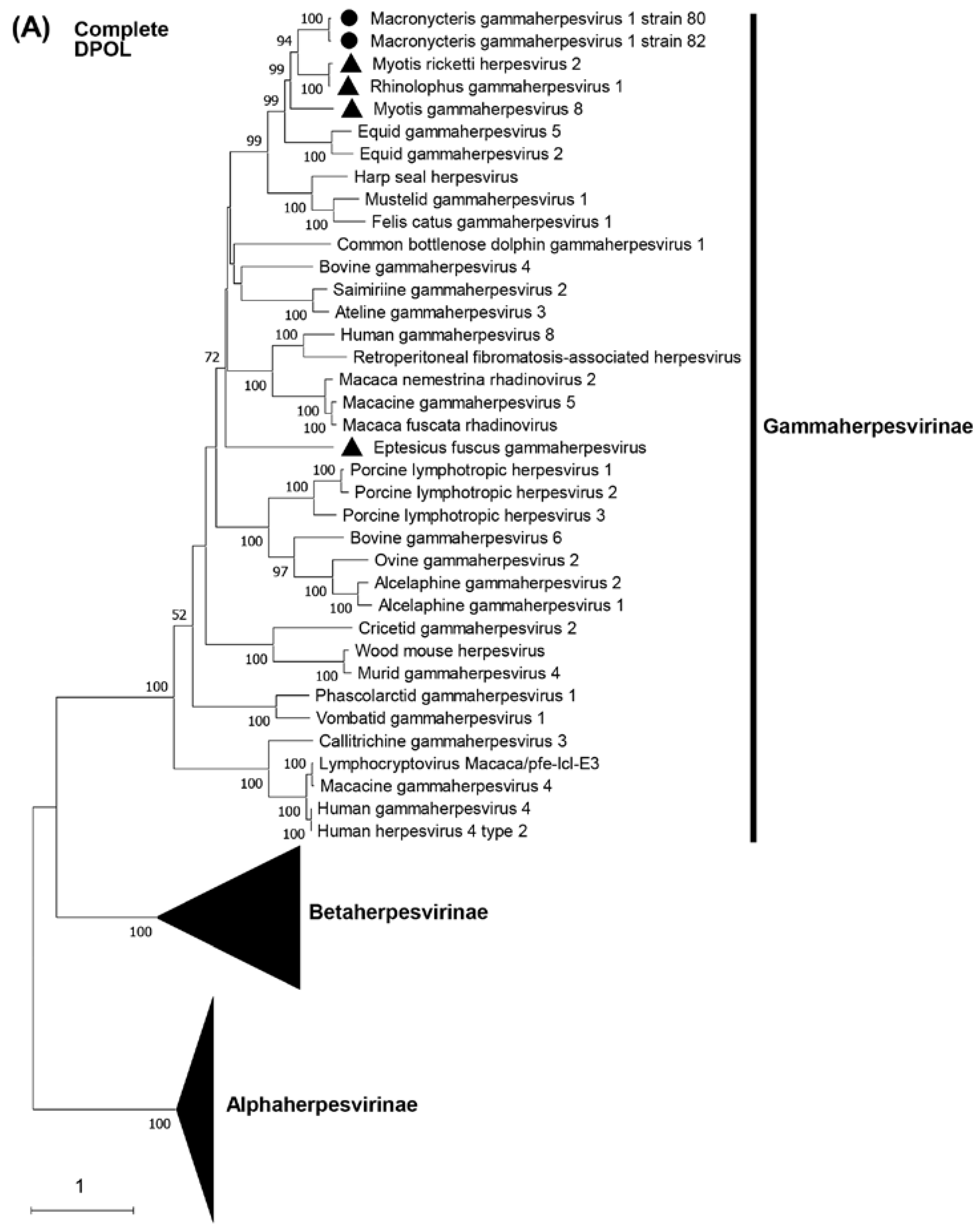 Preprints 74465 g004a