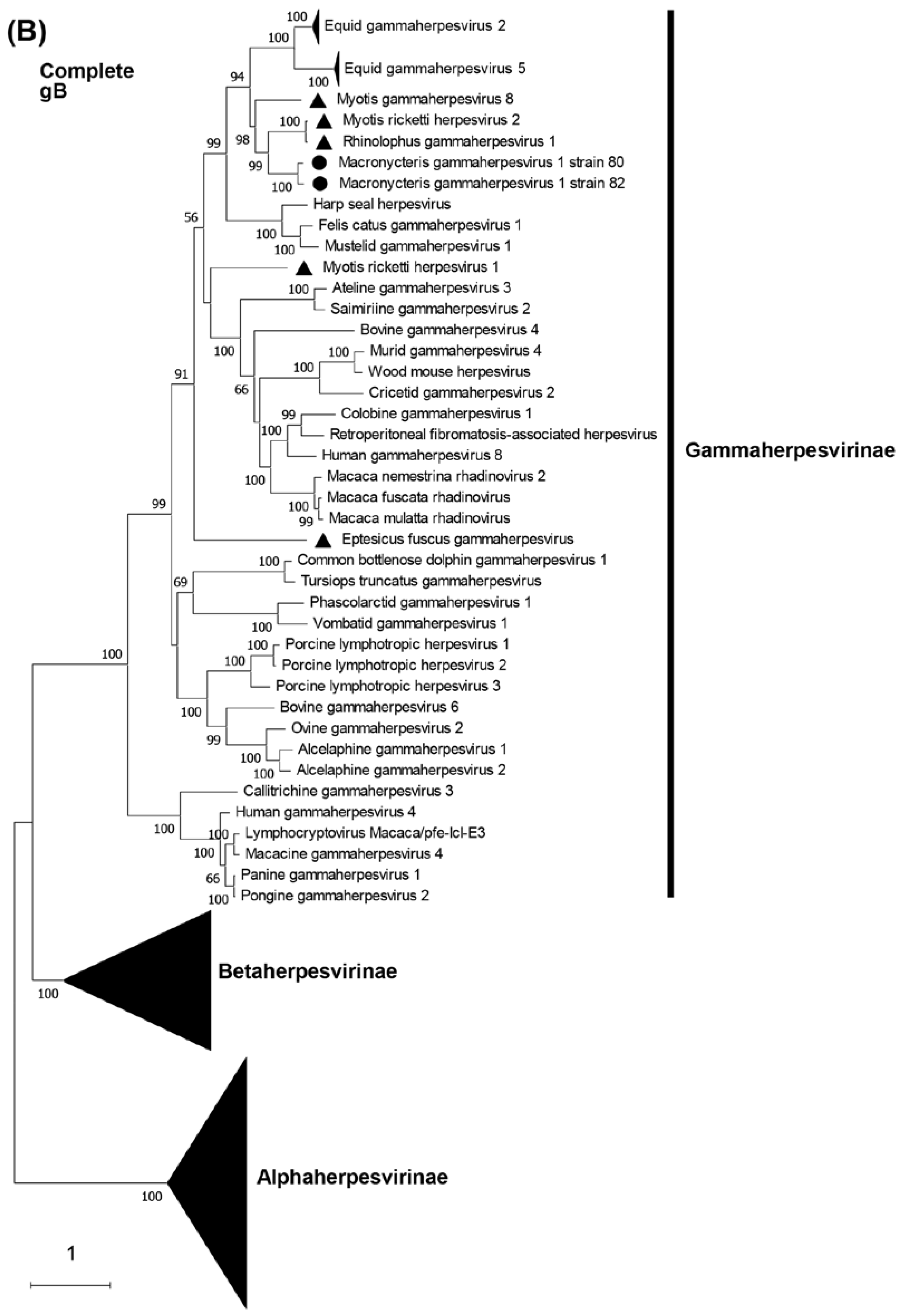 Preprints 74465 g004b