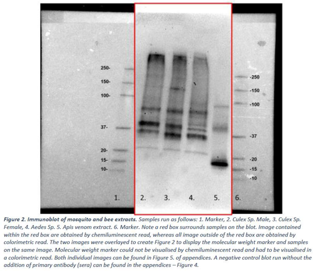 Preprints 102509 i003