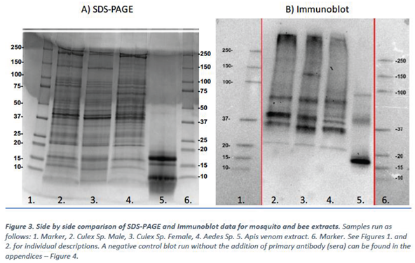 Preprints 102509 i004