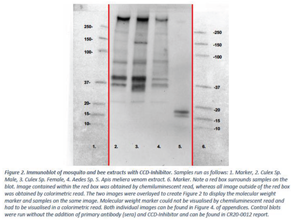 Preprints 102509 i005