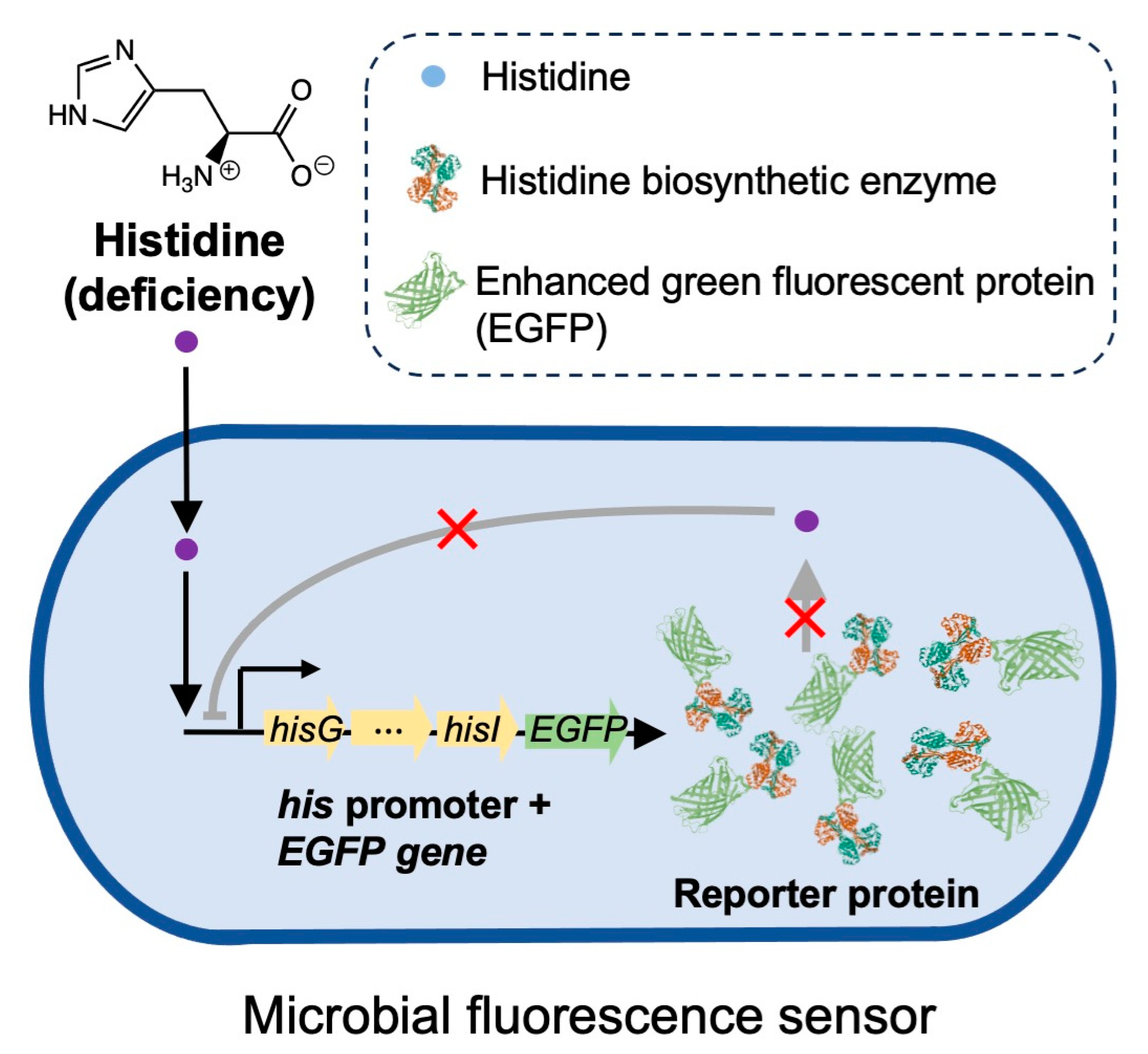 Preprints 81783 g001