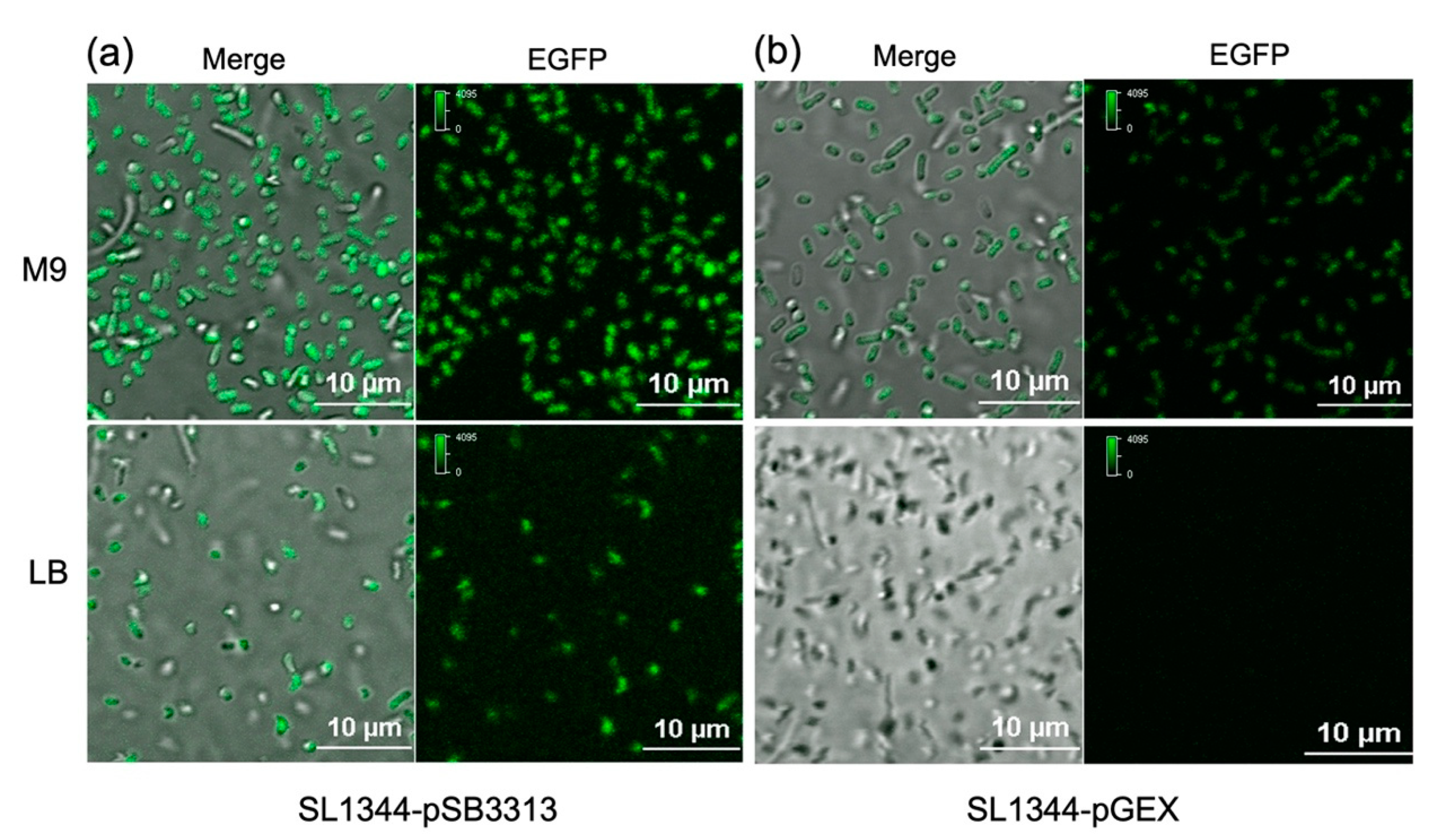 Preprints 81783 g003