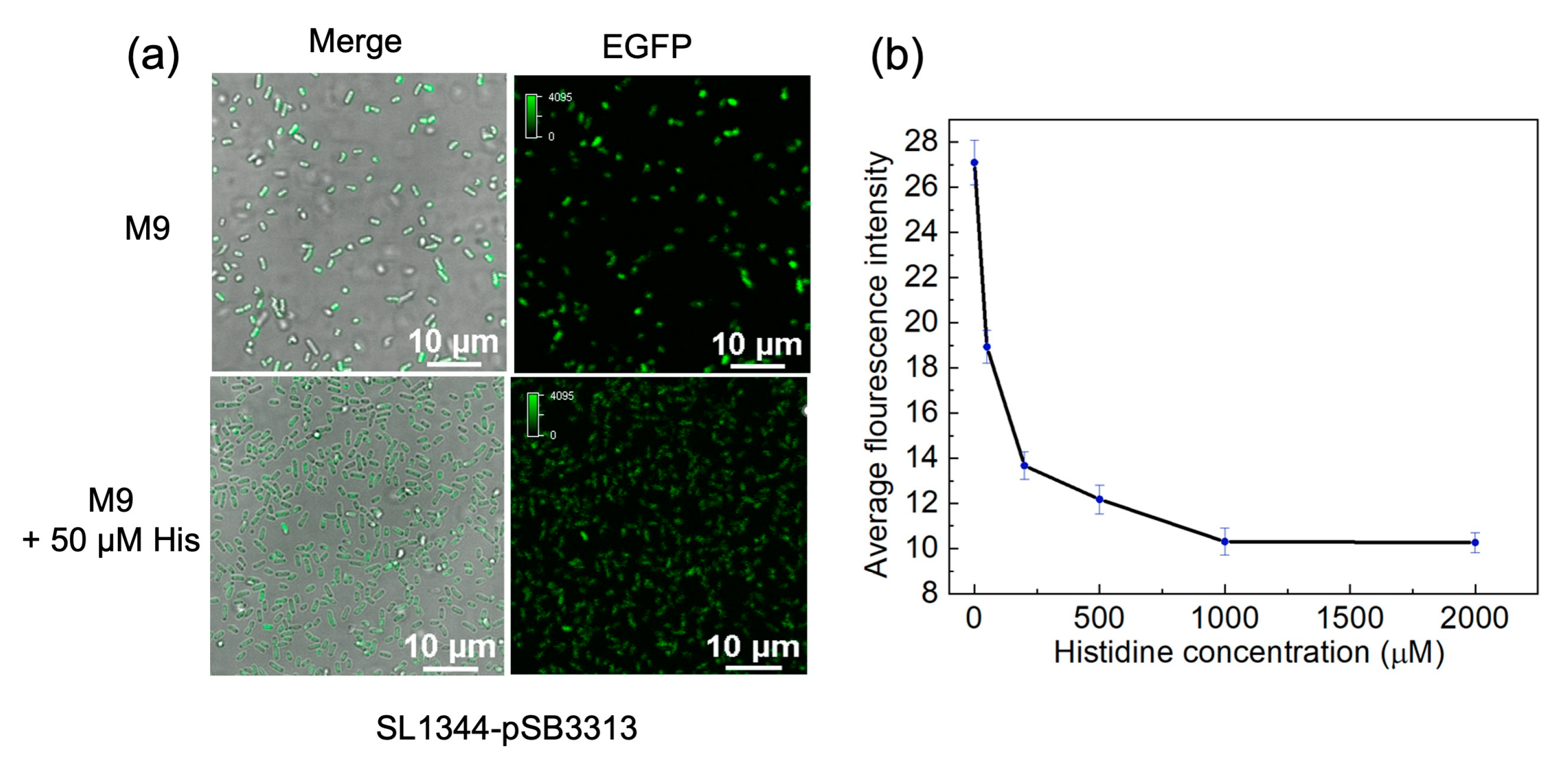 Preprints 81783 g004