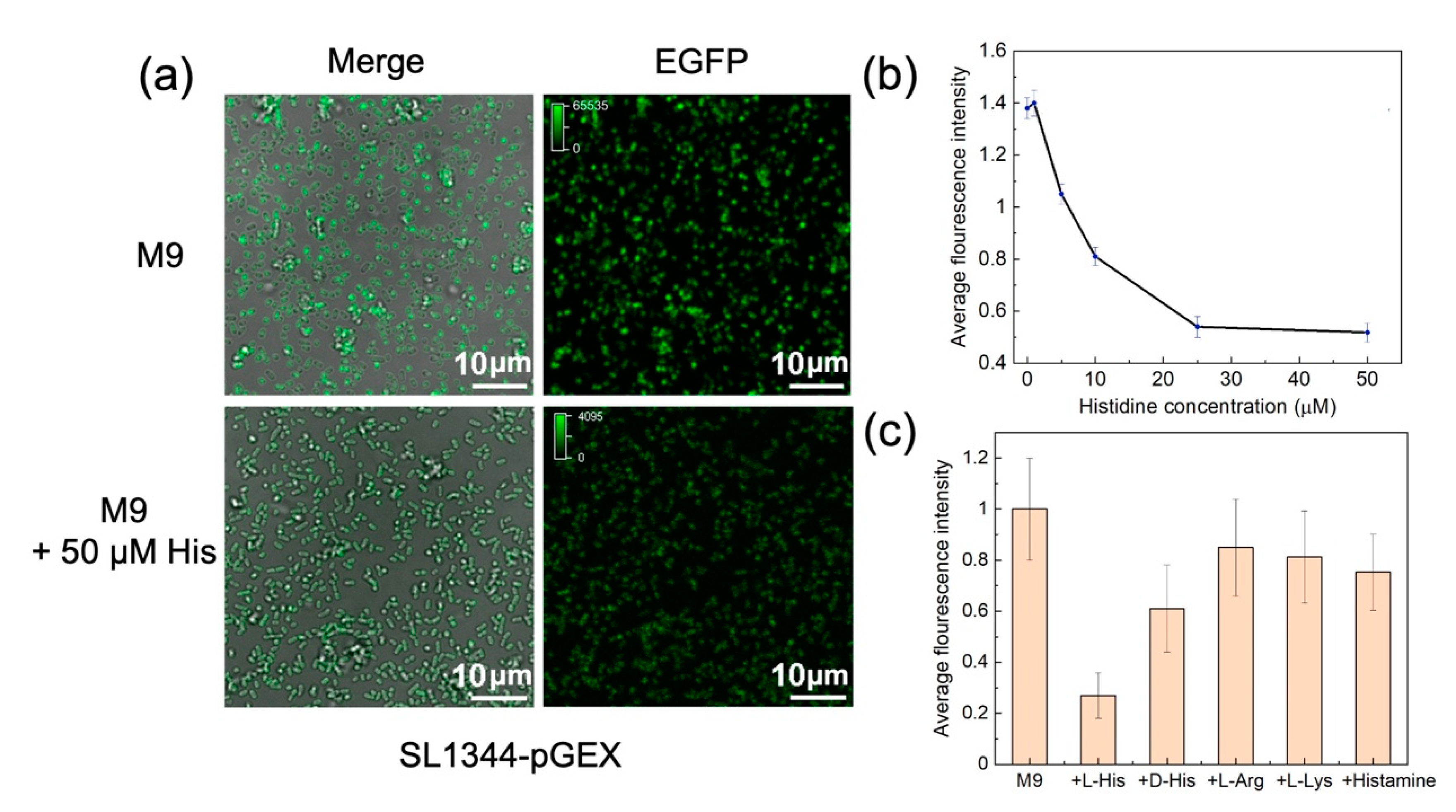 Preprints 81783 g005