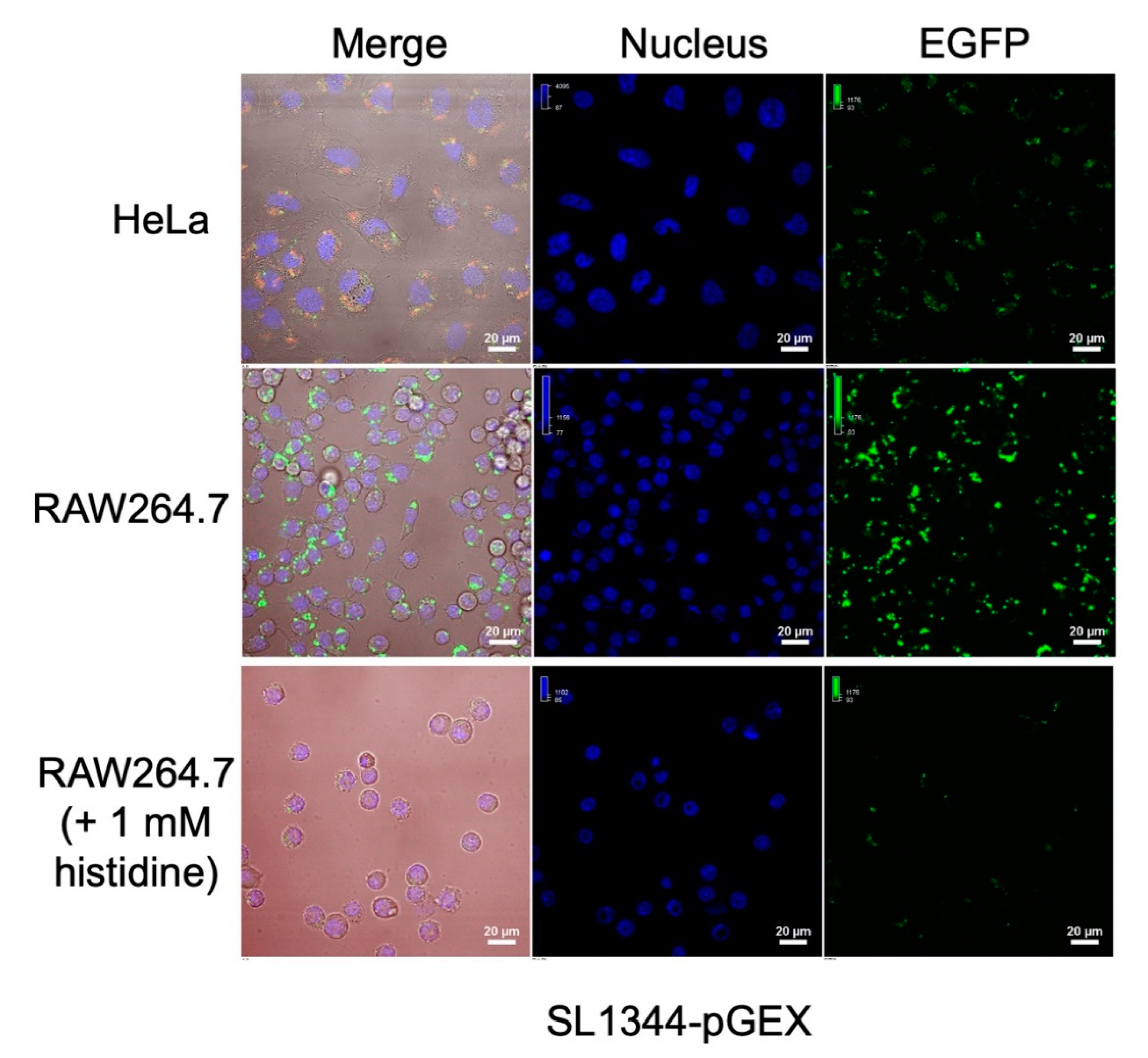 Preprints 81783 g006