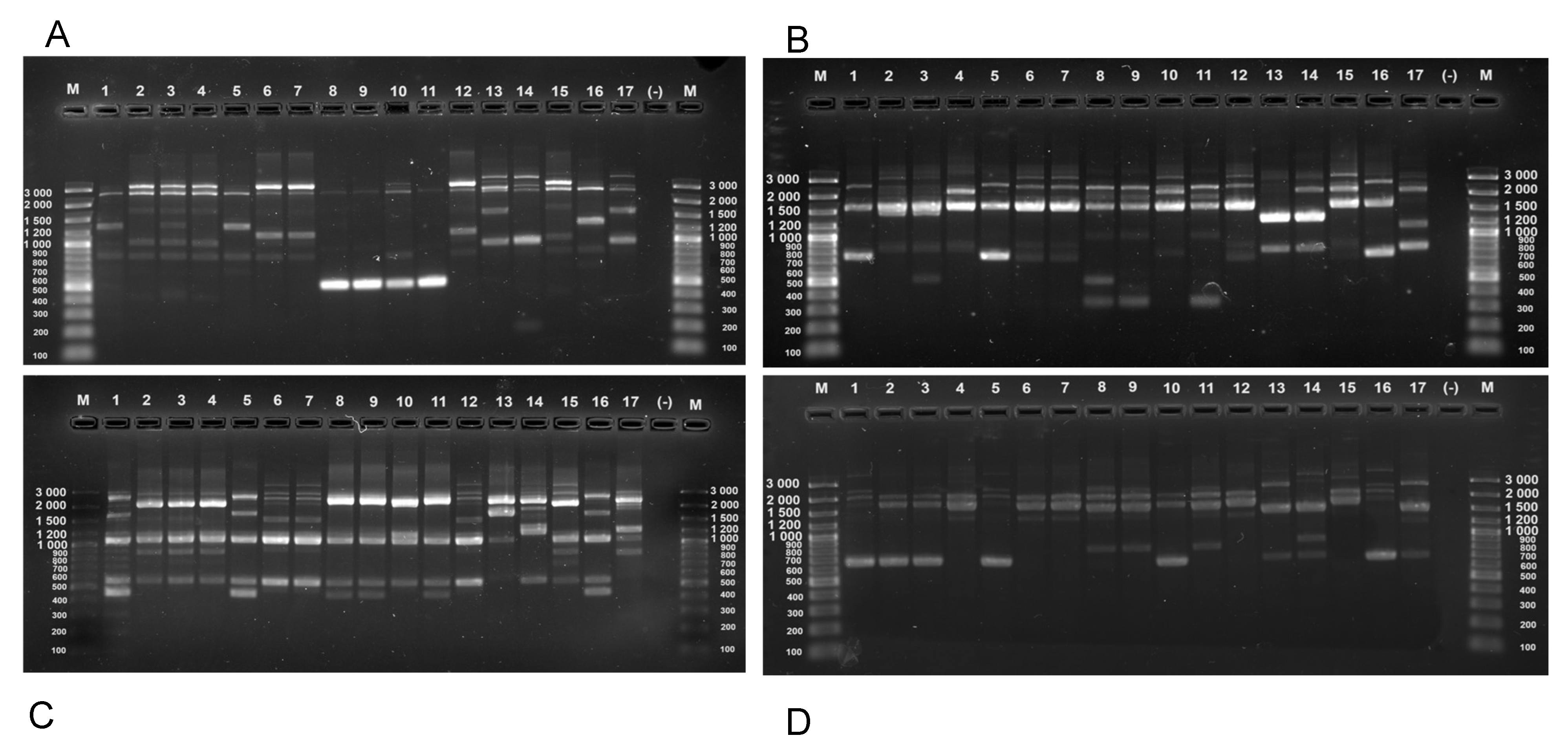 Preprints 114058 g002