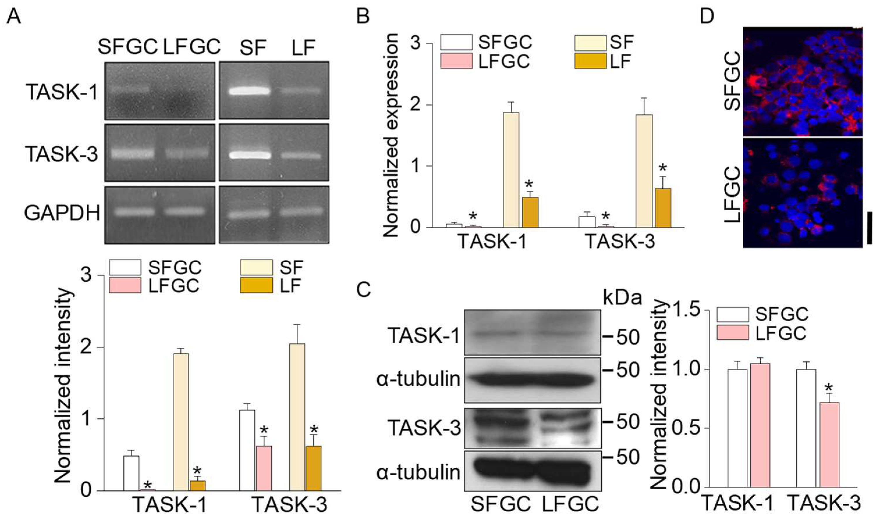 Preprints 96894 g002