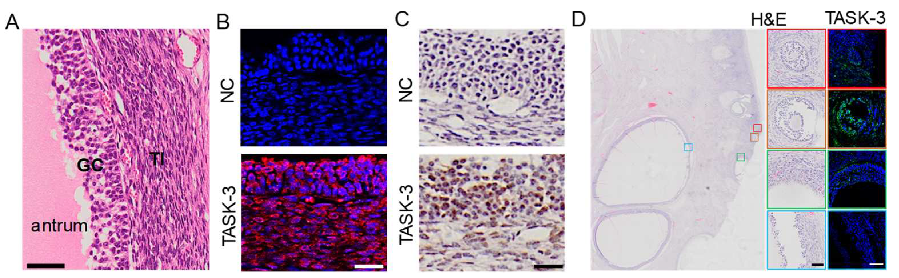 Preprints 96894 g003