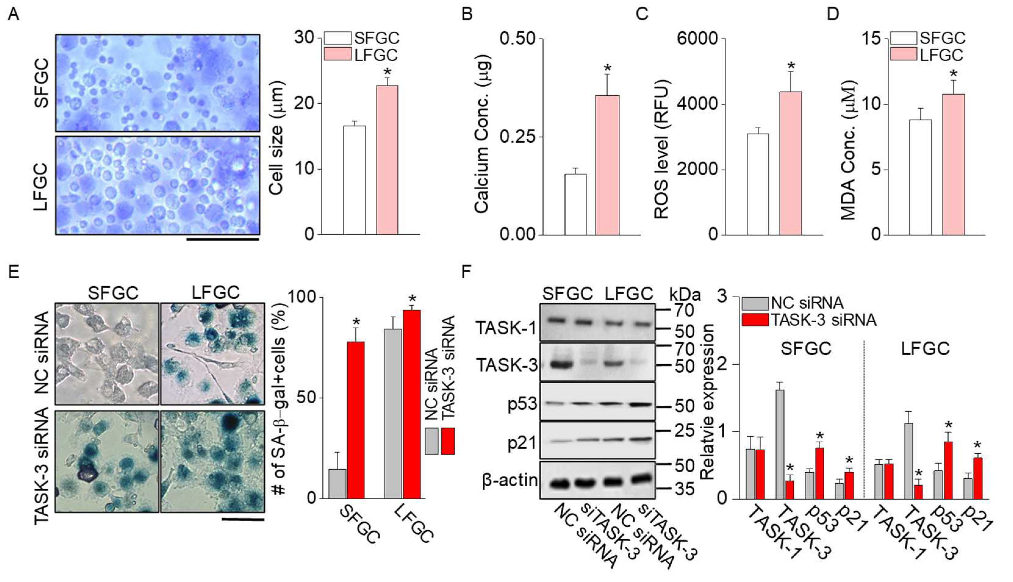 Preprints 96894 g004