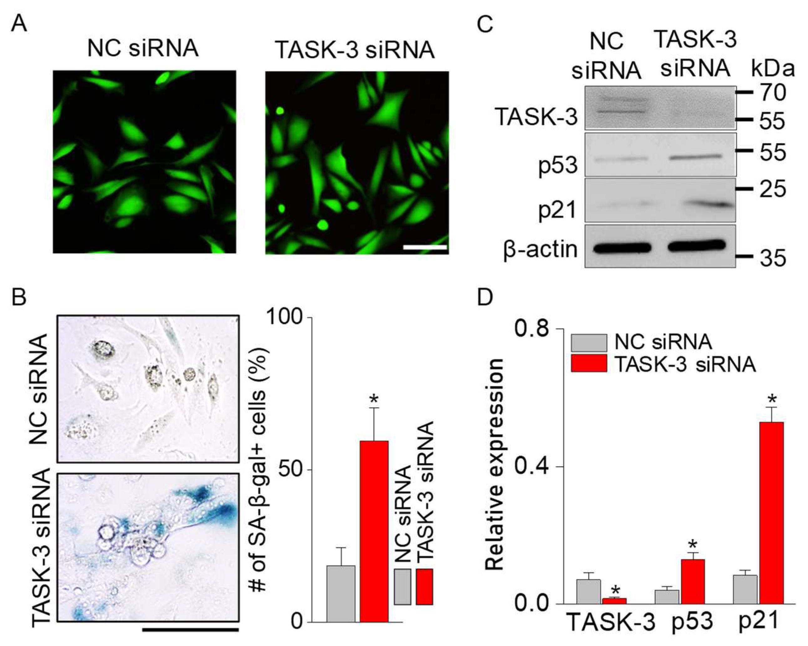 Preprints 96894 g006