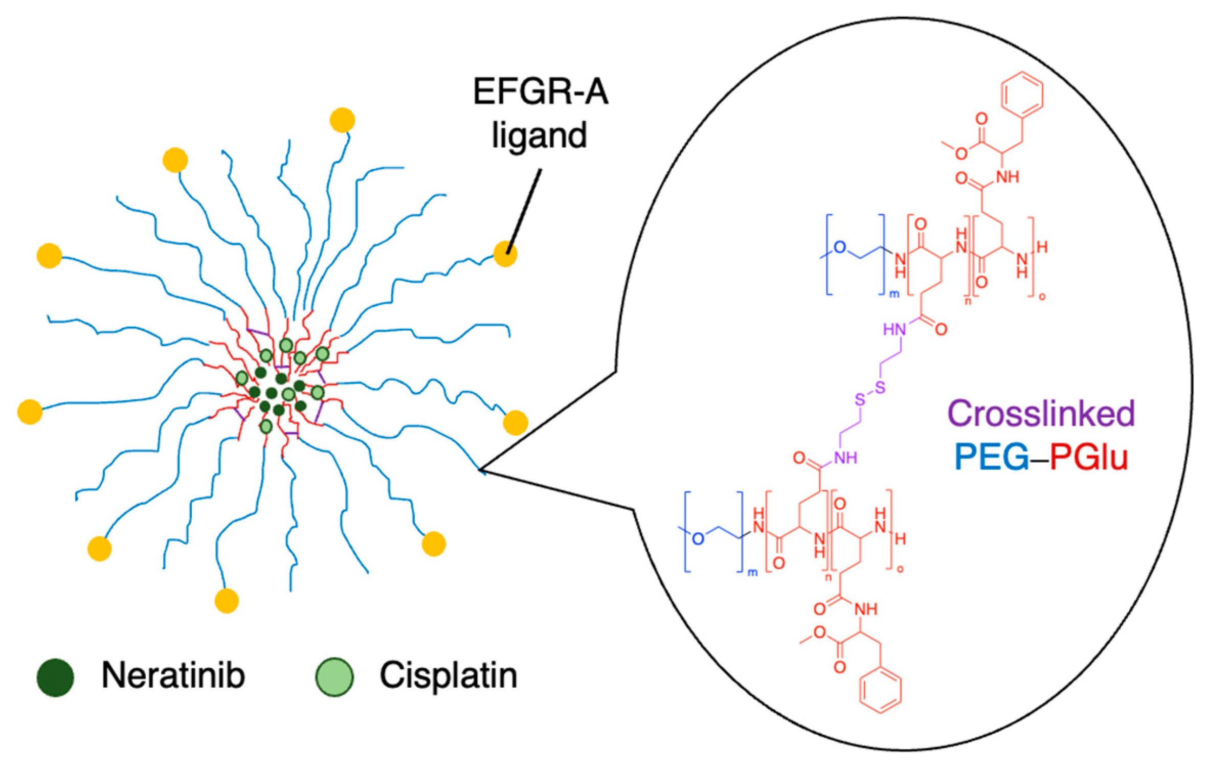 Preprints 117464 g011