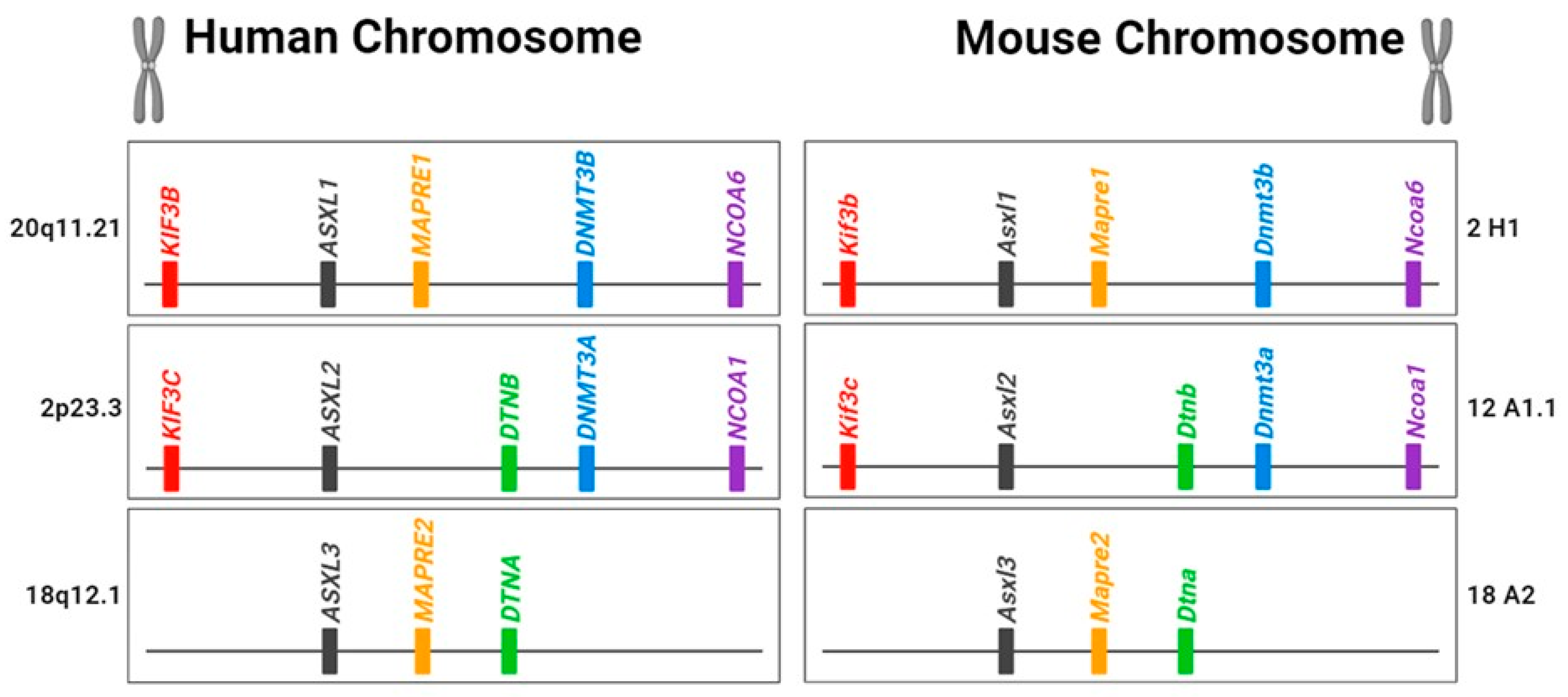 Preprints 104549 g001