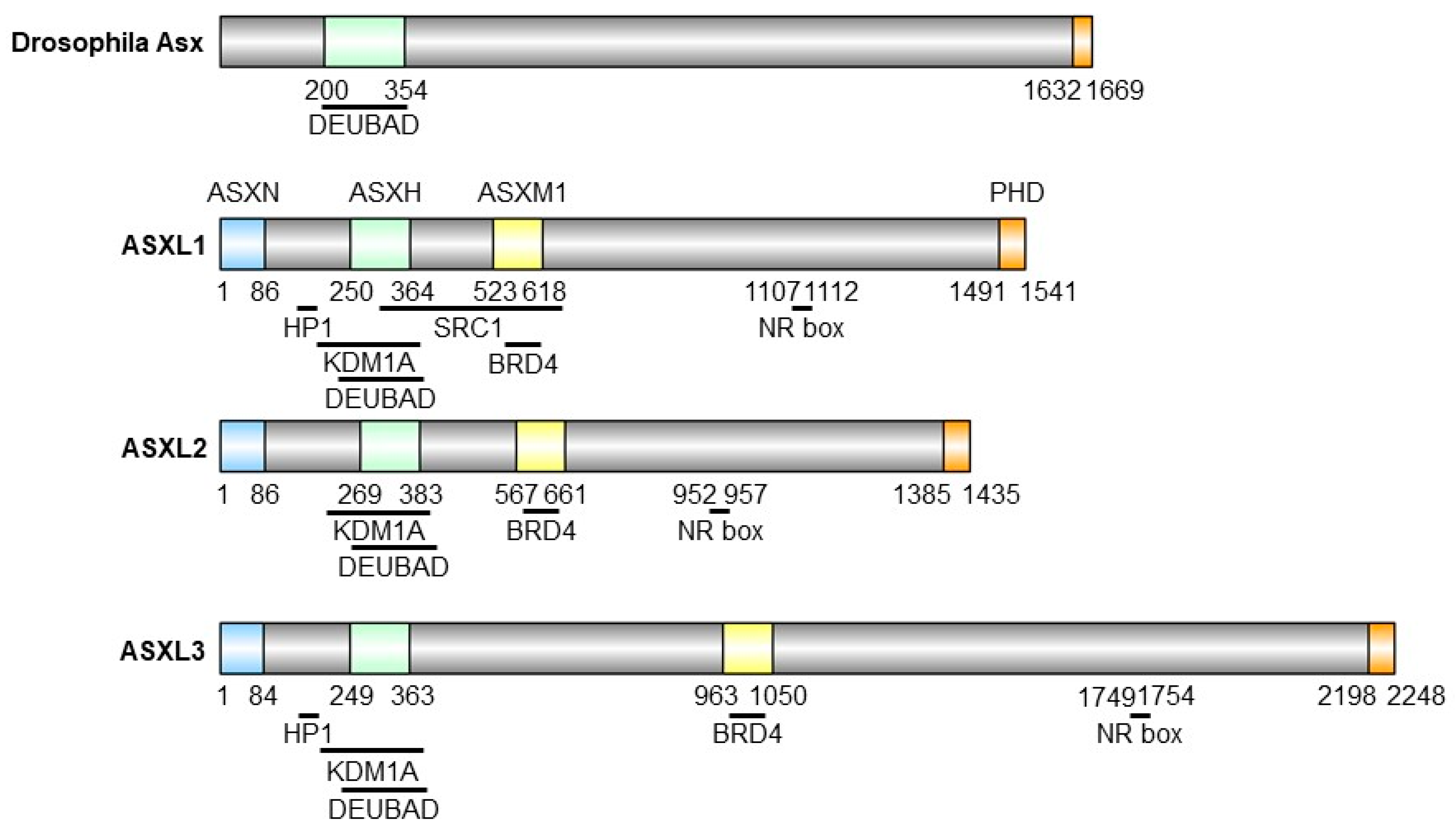 Preprints 104549 g002