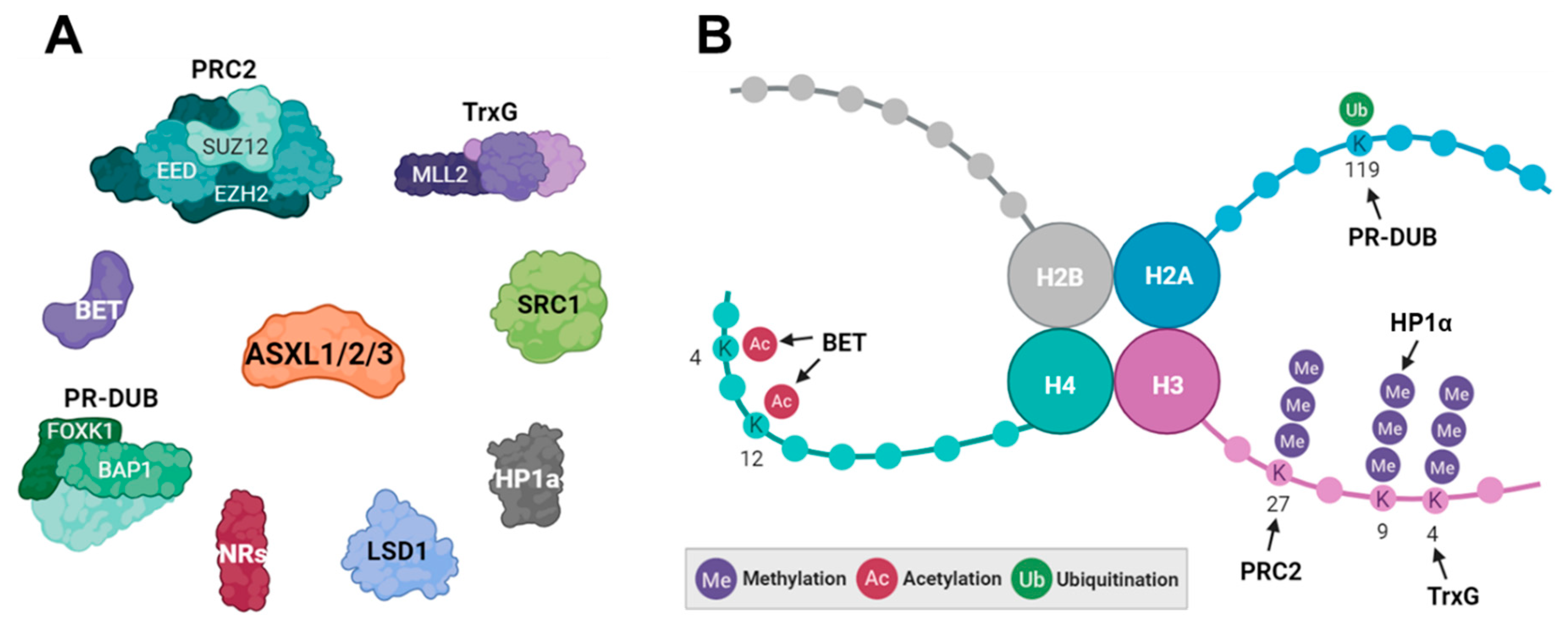 Preprints 104549 g004