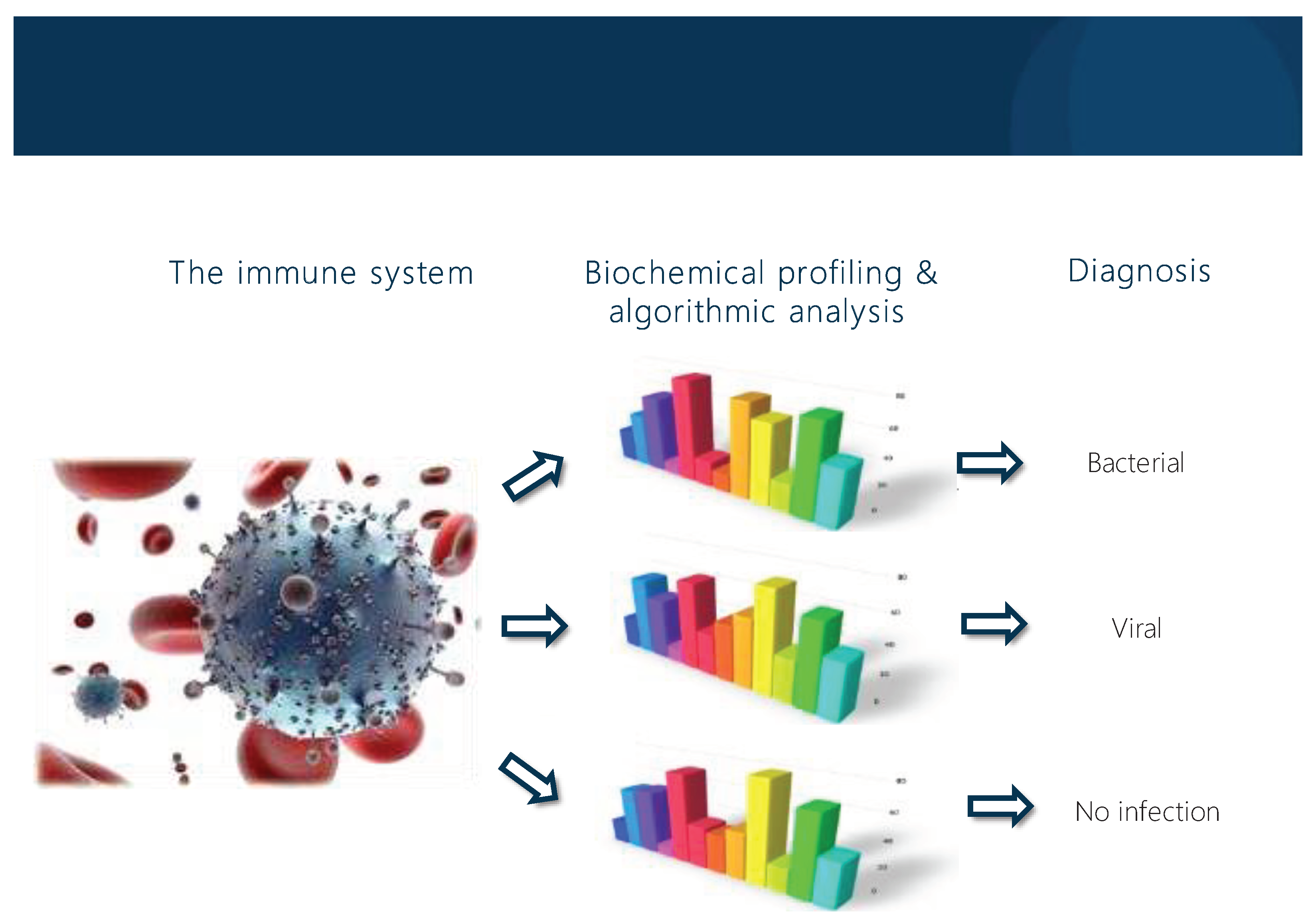 Preprints 92923 g002