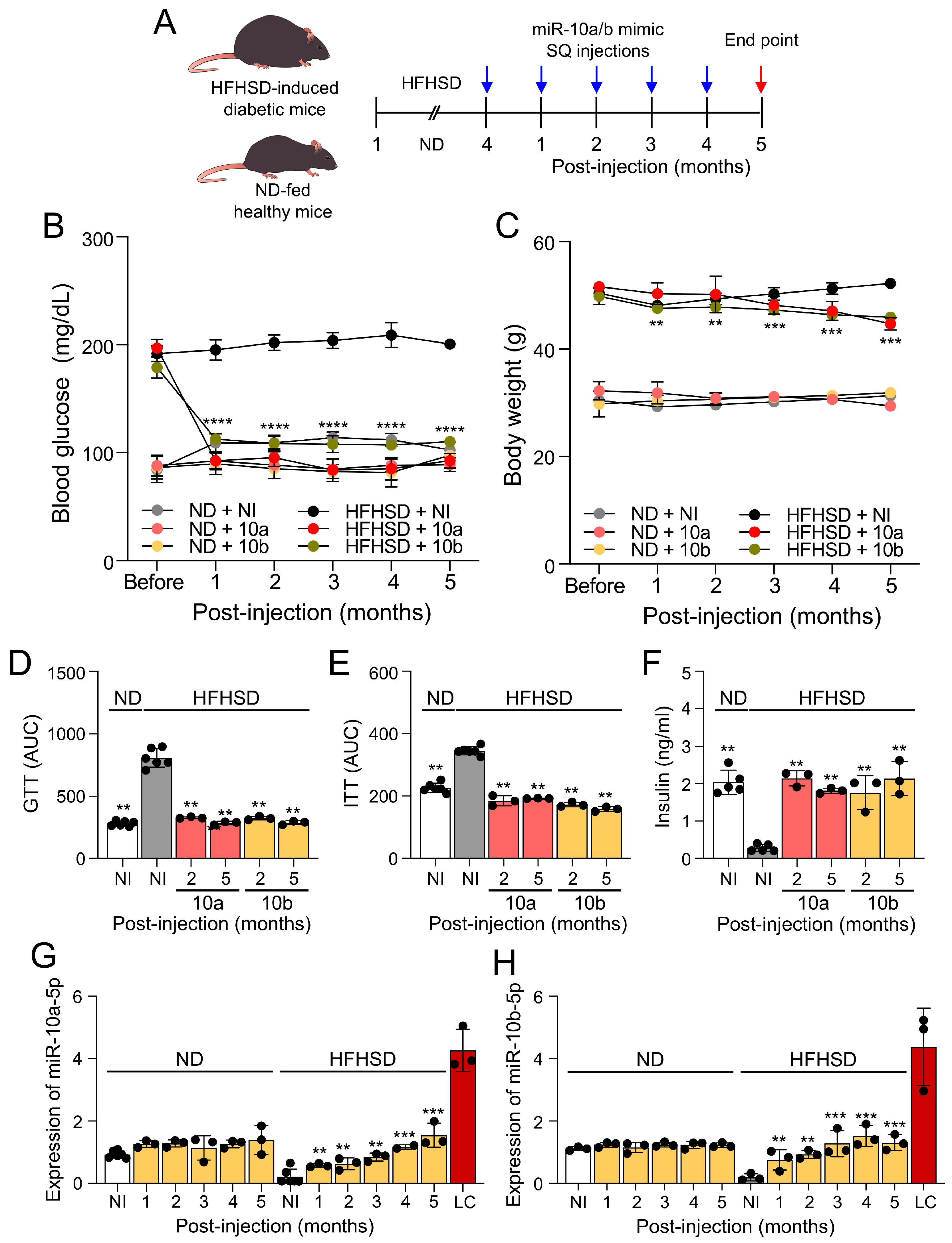 Preprints 95178 g001