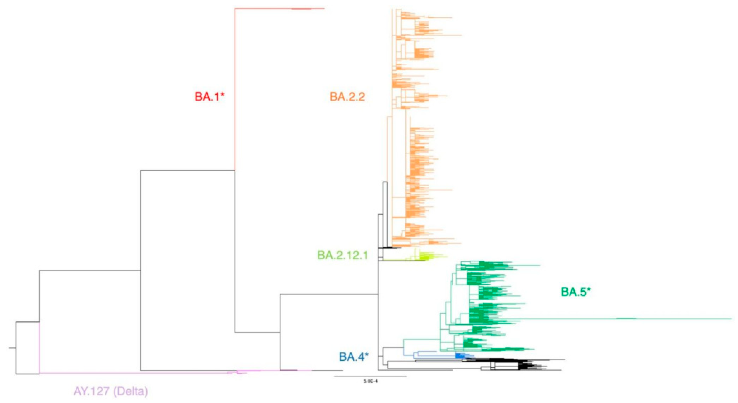 Preprints 103388 g001