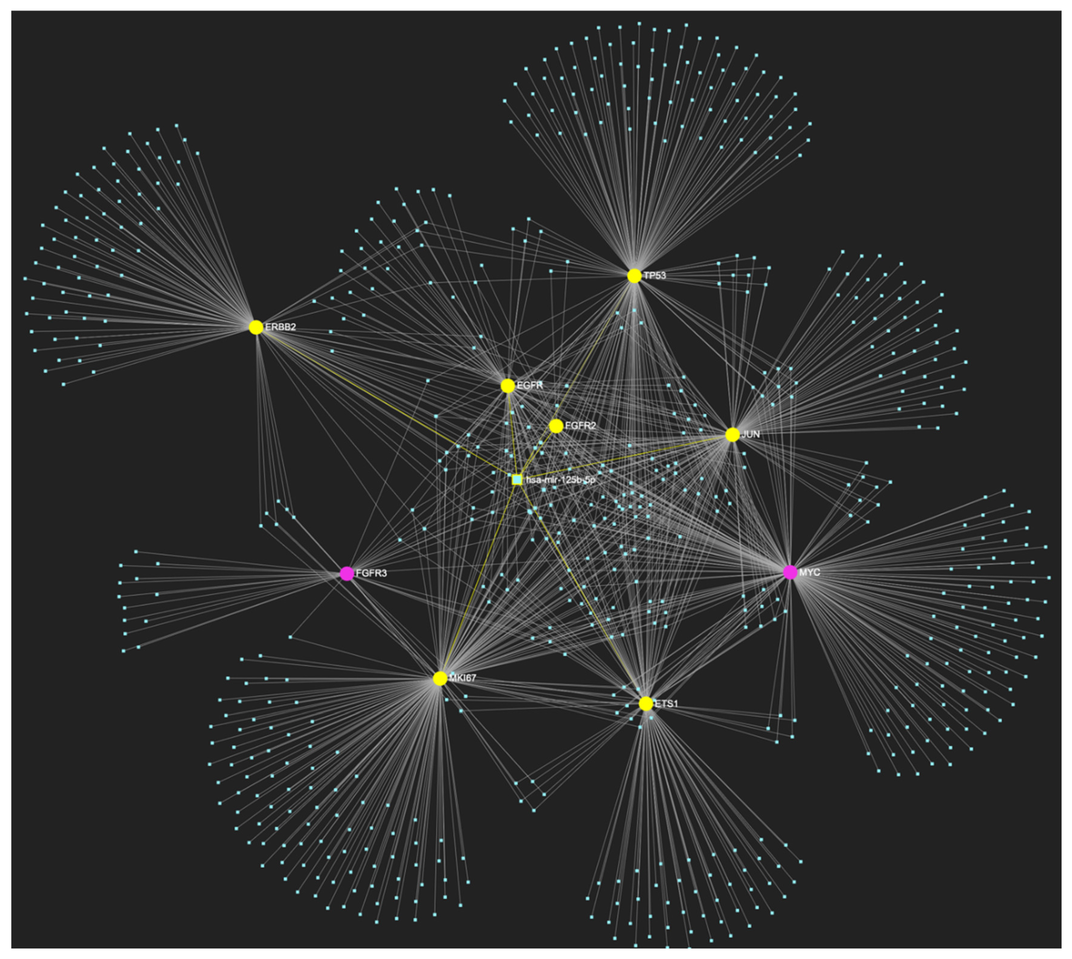 Preprints 107283 g009