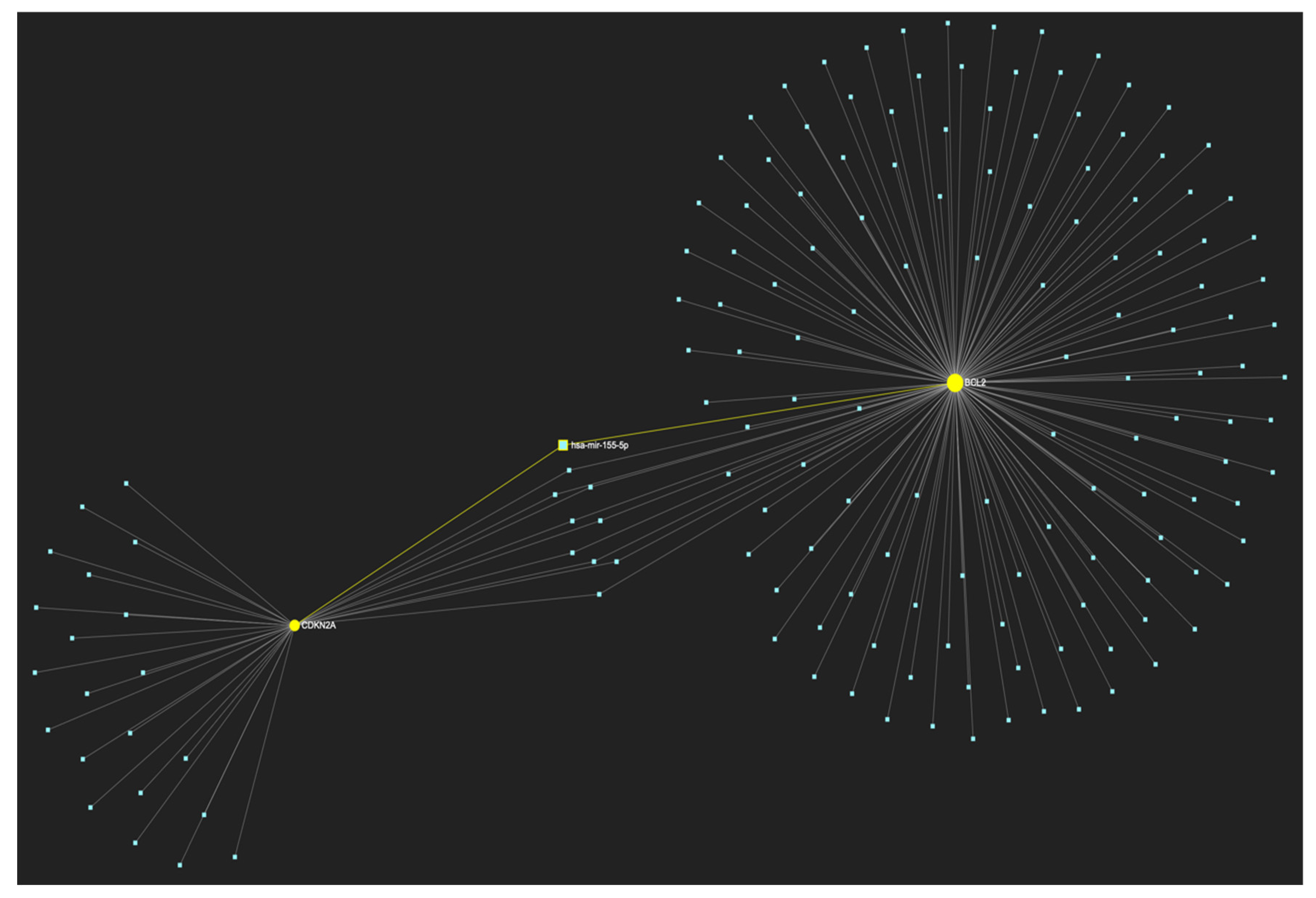 Preprints 107283 g019