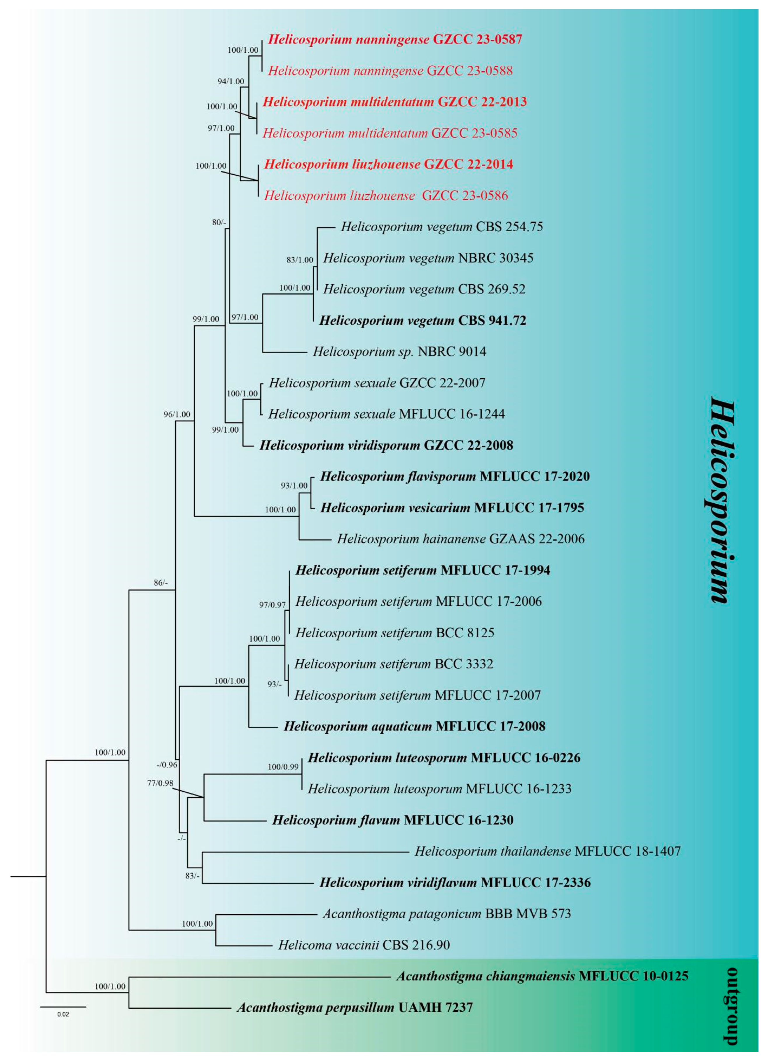 Preprints 77265 g001