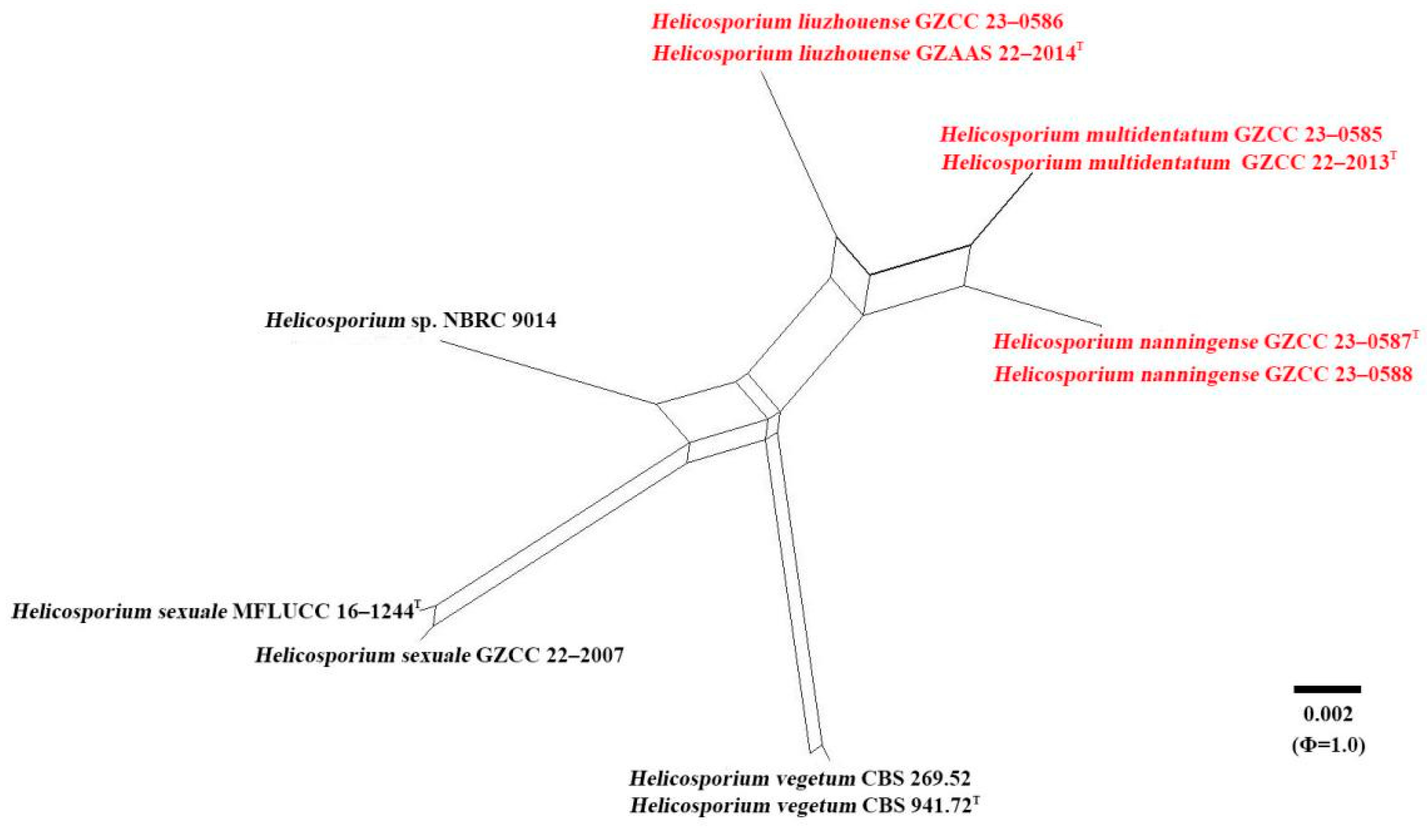 Preprints 77265 g002