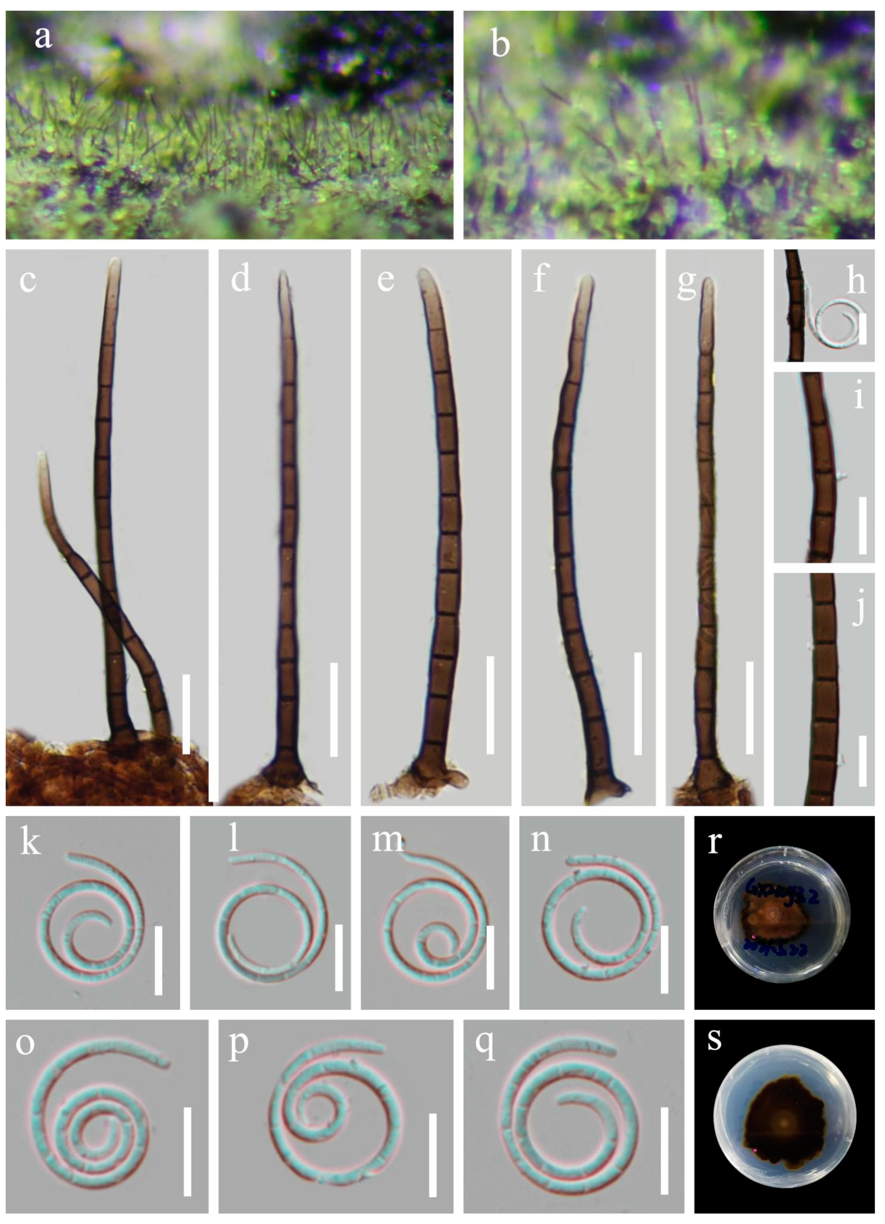 Preprints 77265 g005