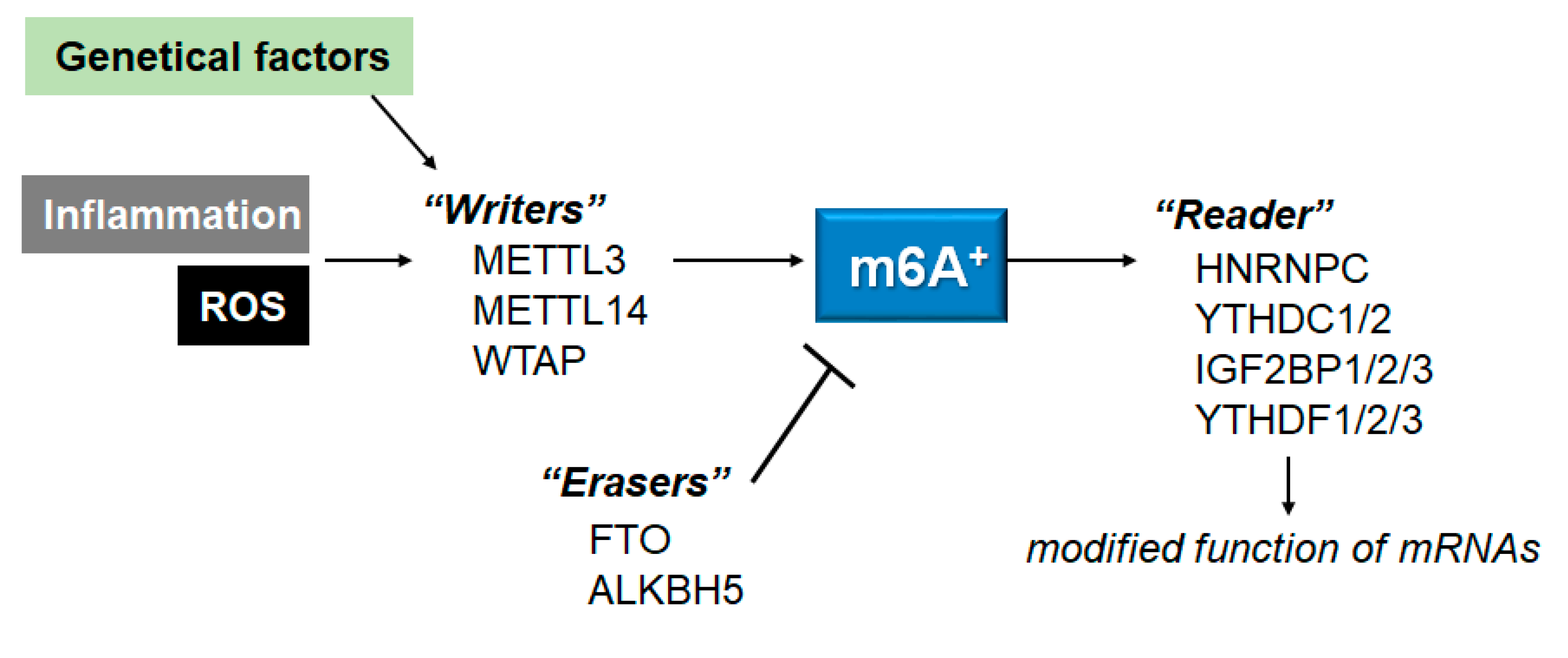 Preprints 77939 g002