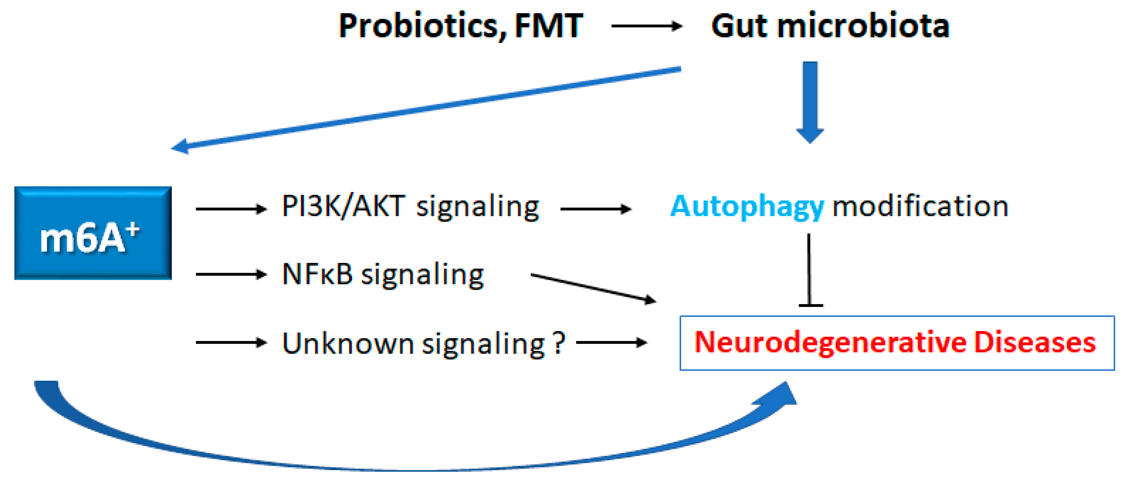 Preprints 77939 g003