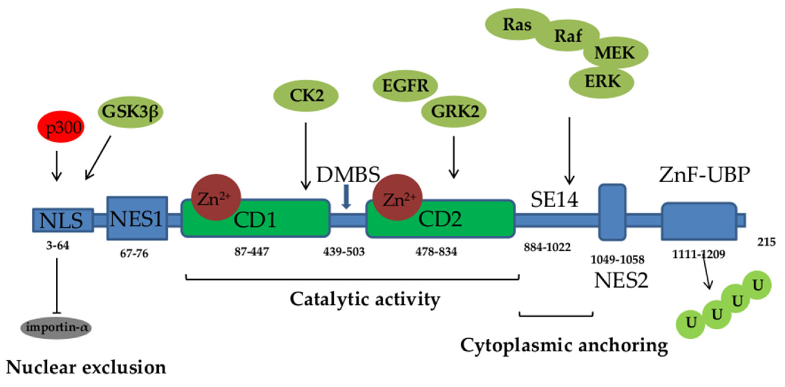 Preprints 91661 g001