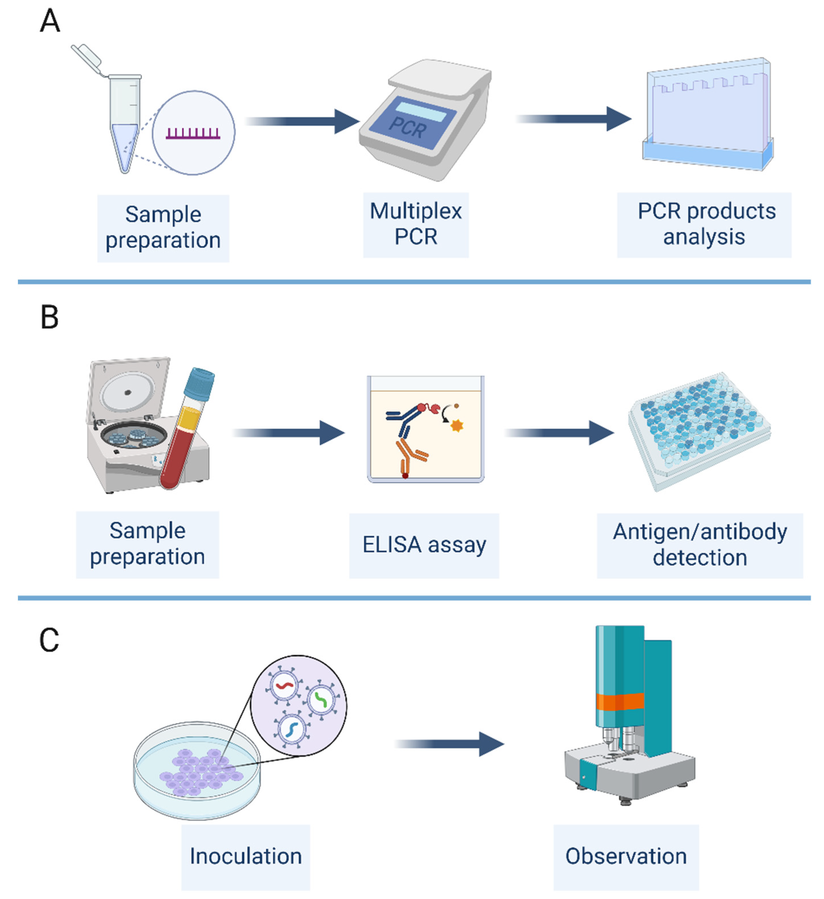 Preprints 103293 g004