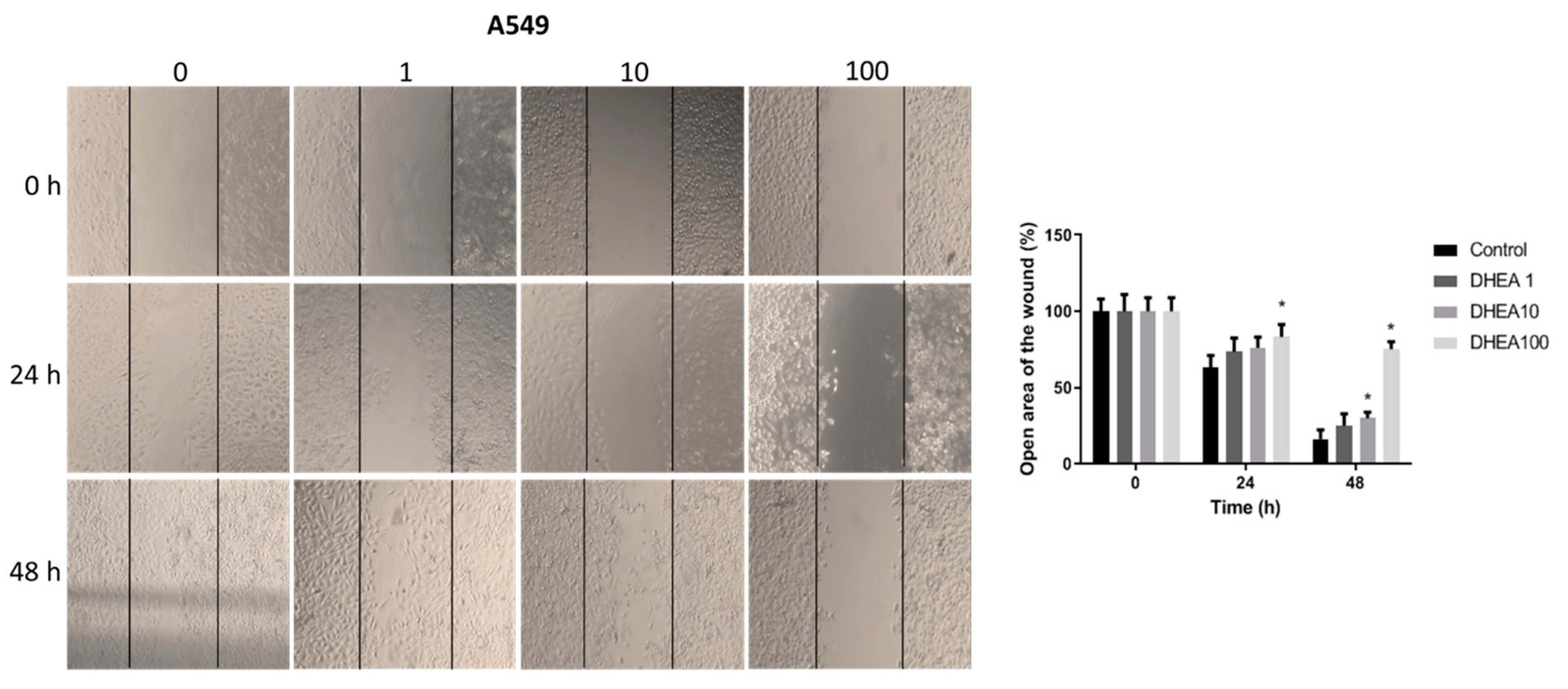 Preprints 86124 g004