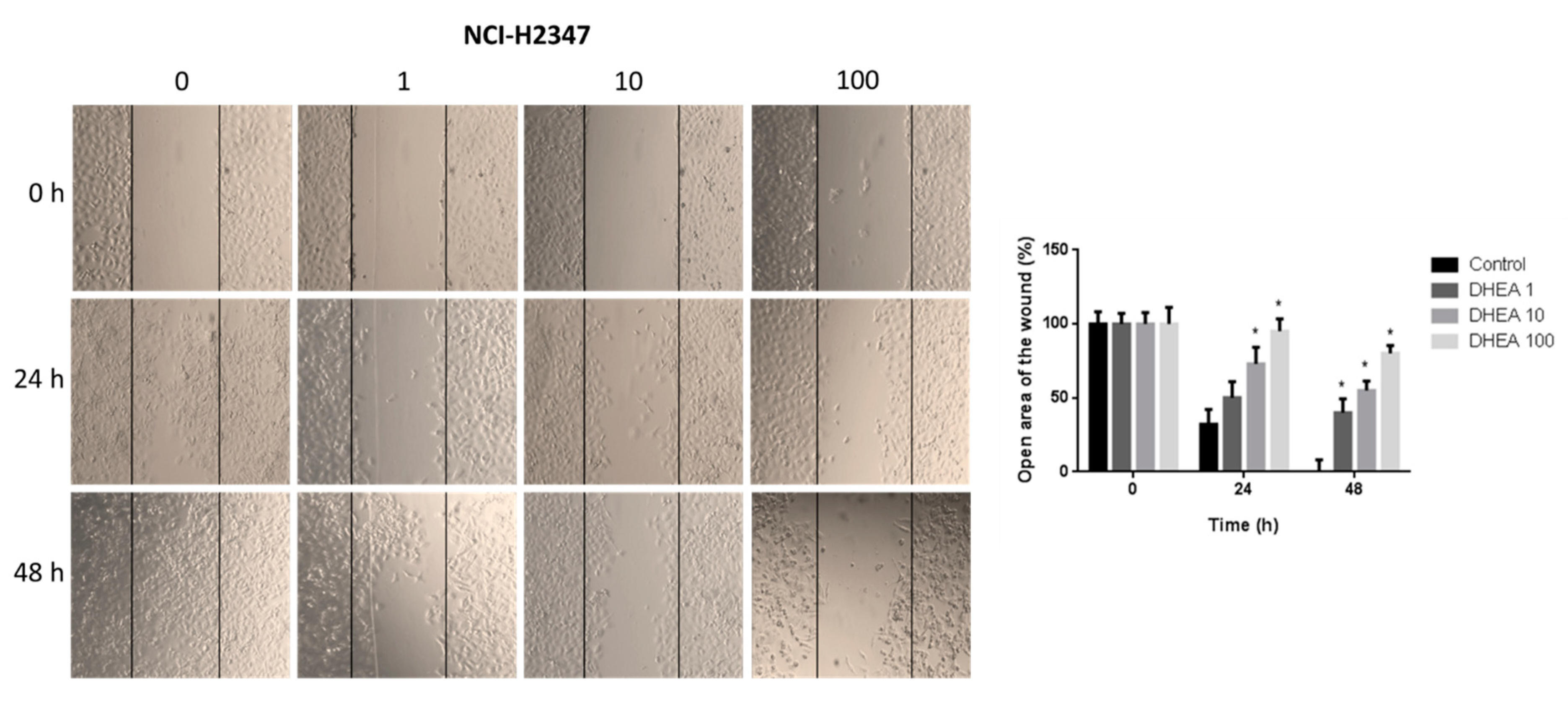 Preprints 86124 g006