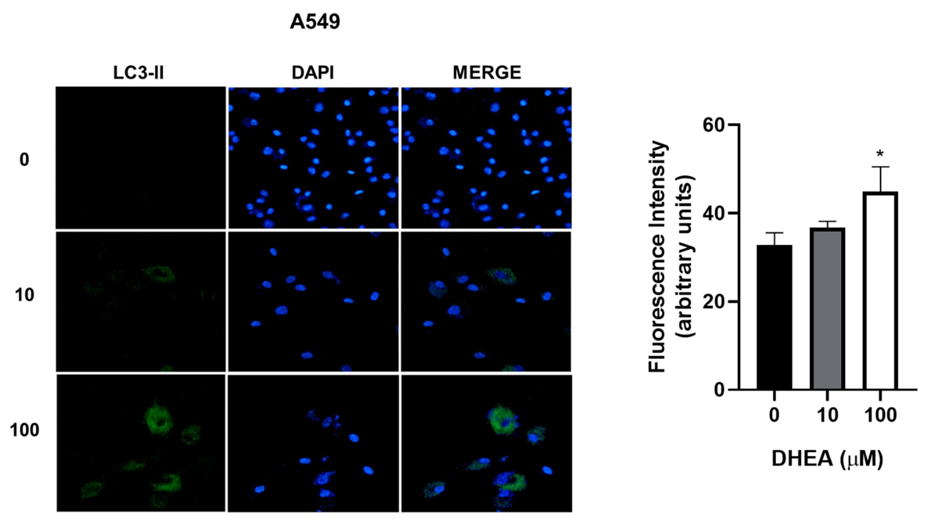 Preprints 86124 g007