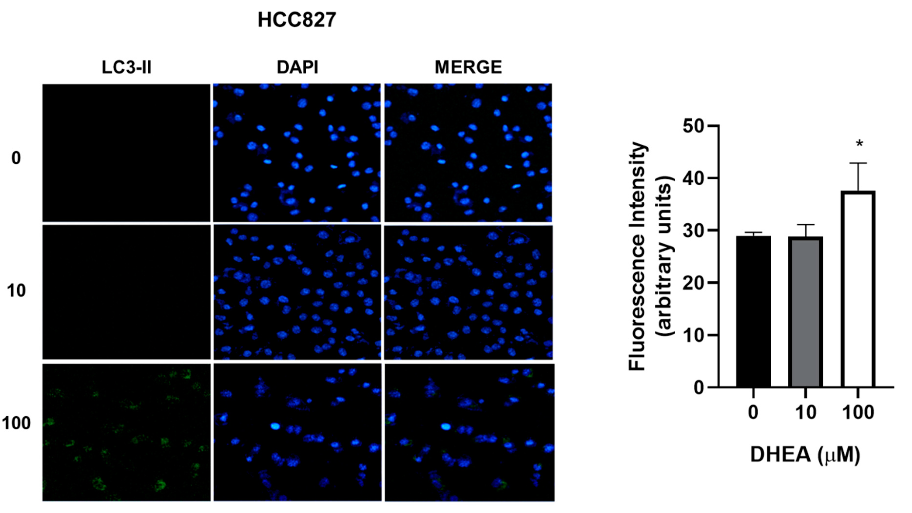 Preprints 86124 g008