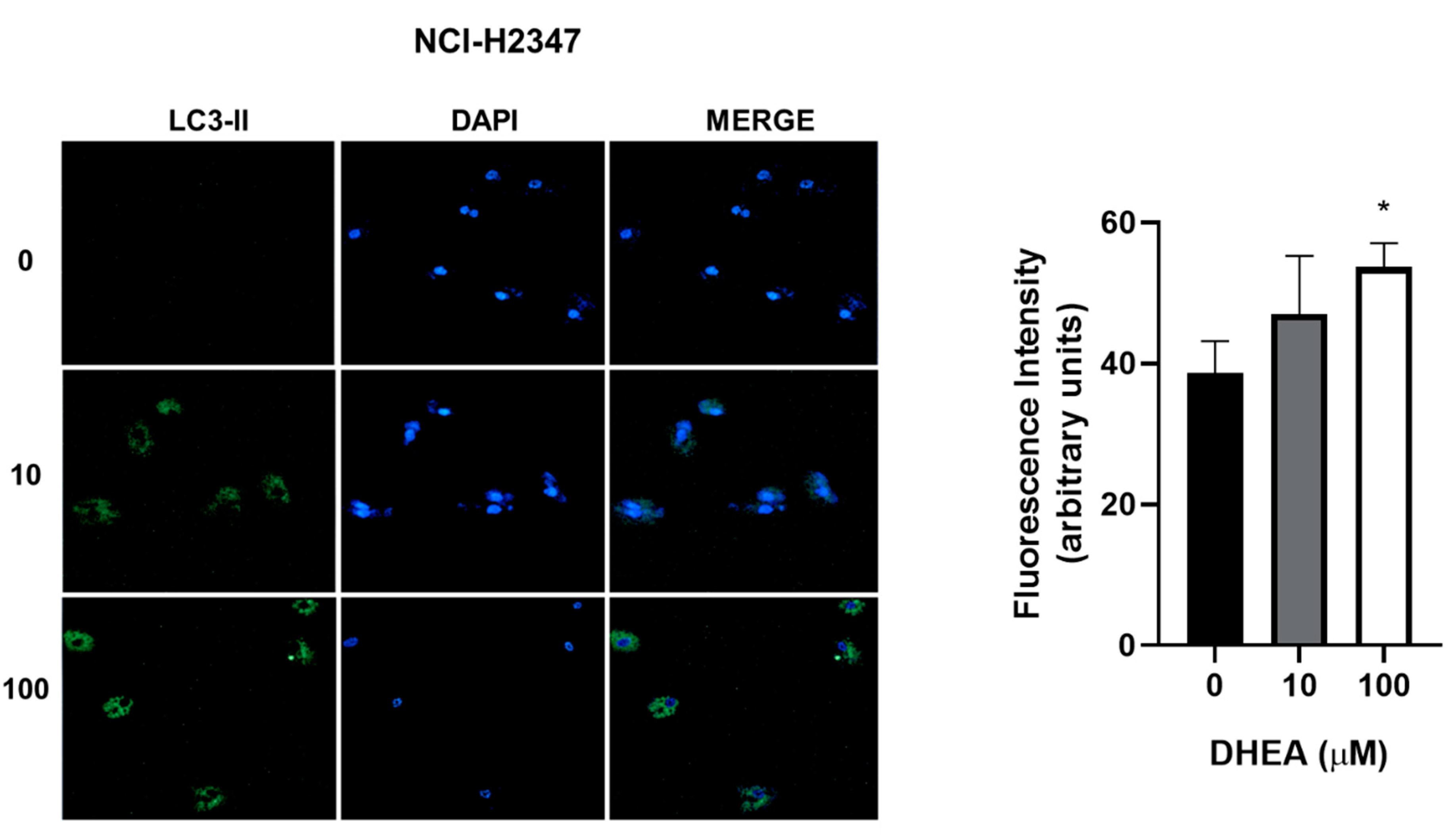 Preprints 86124 g009